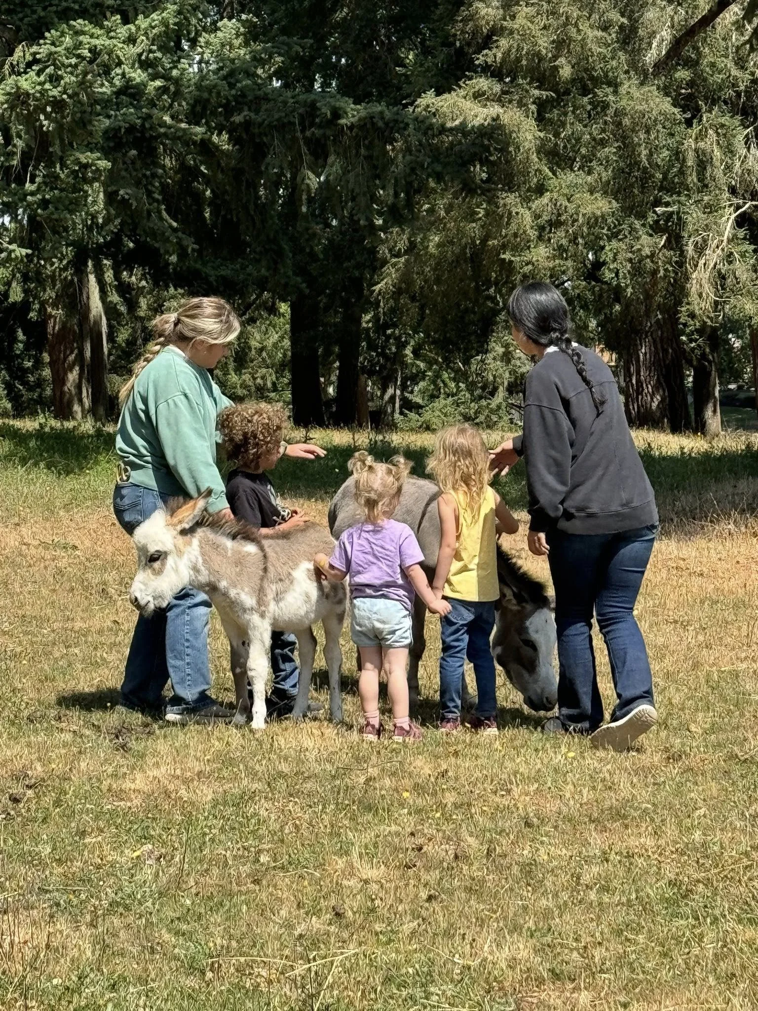 Kids Camp On the Farm