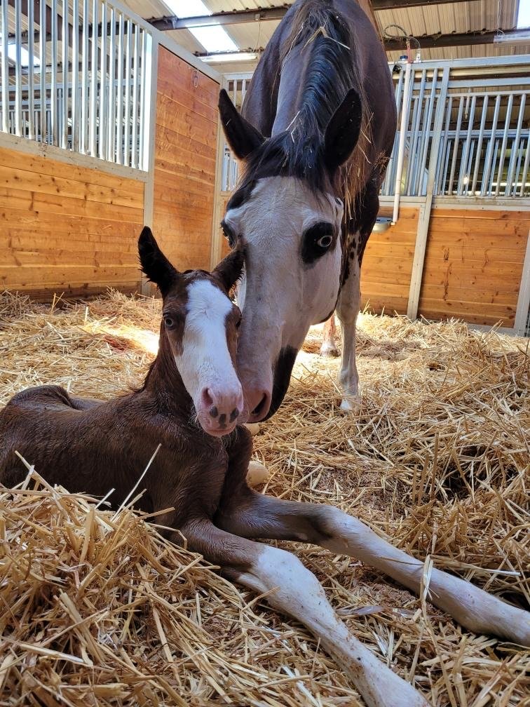 Resized_20220624_163940 2.JPG