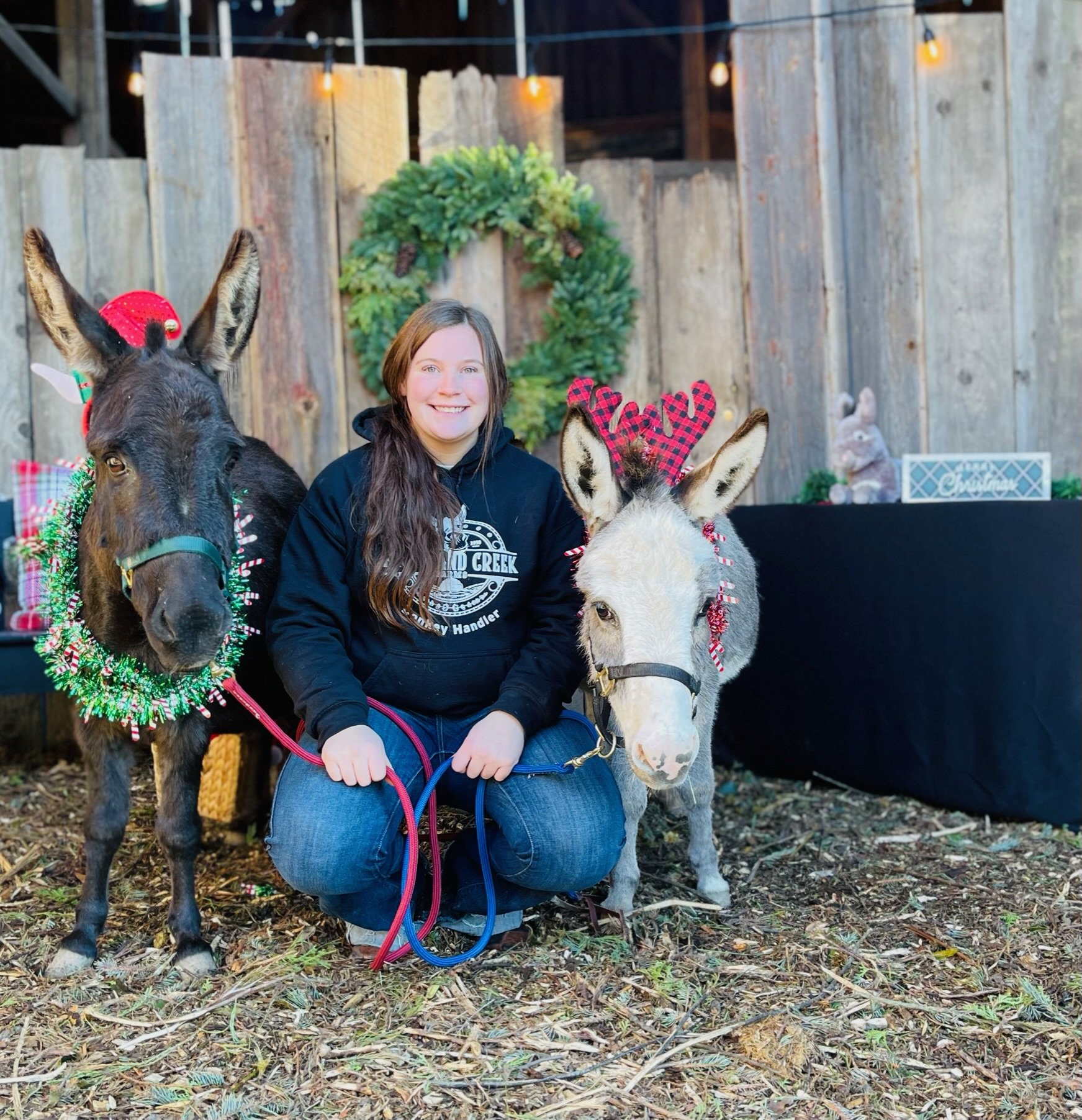 A woman kneeling on the ground with two decorated donkeys, one with a red hat and the other with red and black checkered antlers, in a festive outdoor setting with a wooden fence, a wreath, string lights, and holiday decorations.