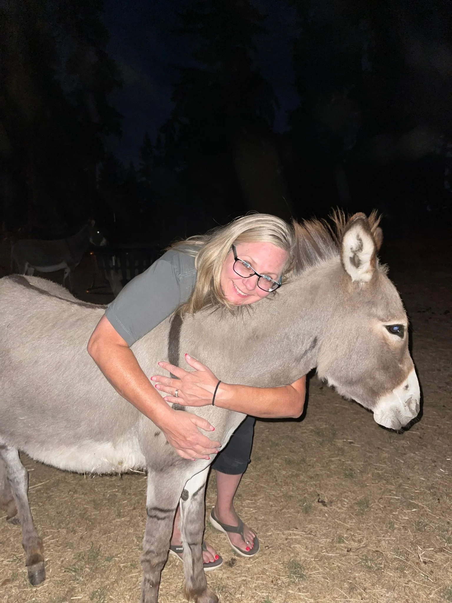 A woman hugging a donkey during nighttime outdoors, with trees visible in the background.