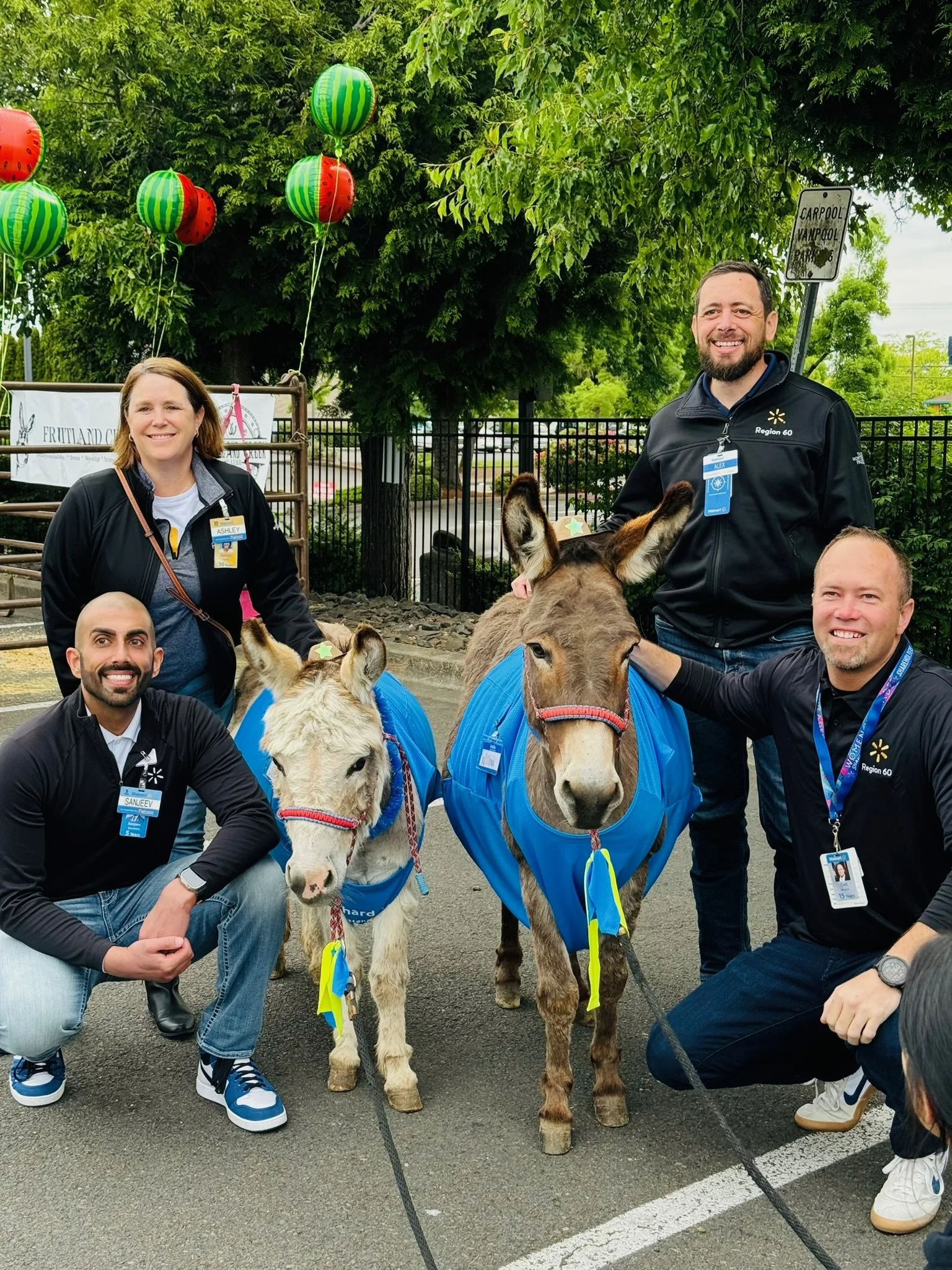 Group of five people posing with two small donkeys, some wearing blue blankets, outdoors near a fence with trees and colorful balloons overhead.