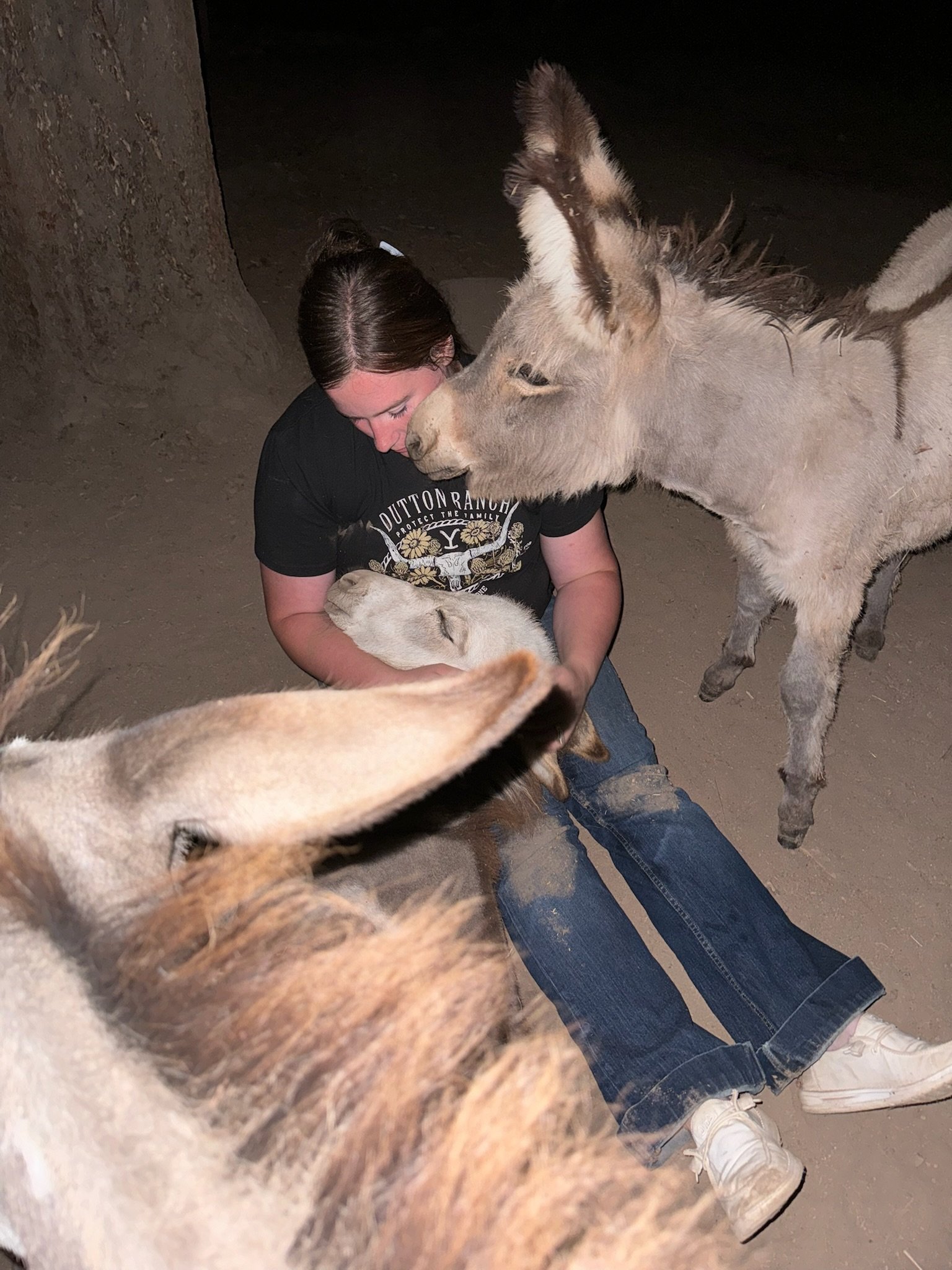 A woman sitting on the ground with her head bowed, surrounded by several donkeys that are interacting with her, some nuzzling her and one with its head resting on her lap, at night outdoors.