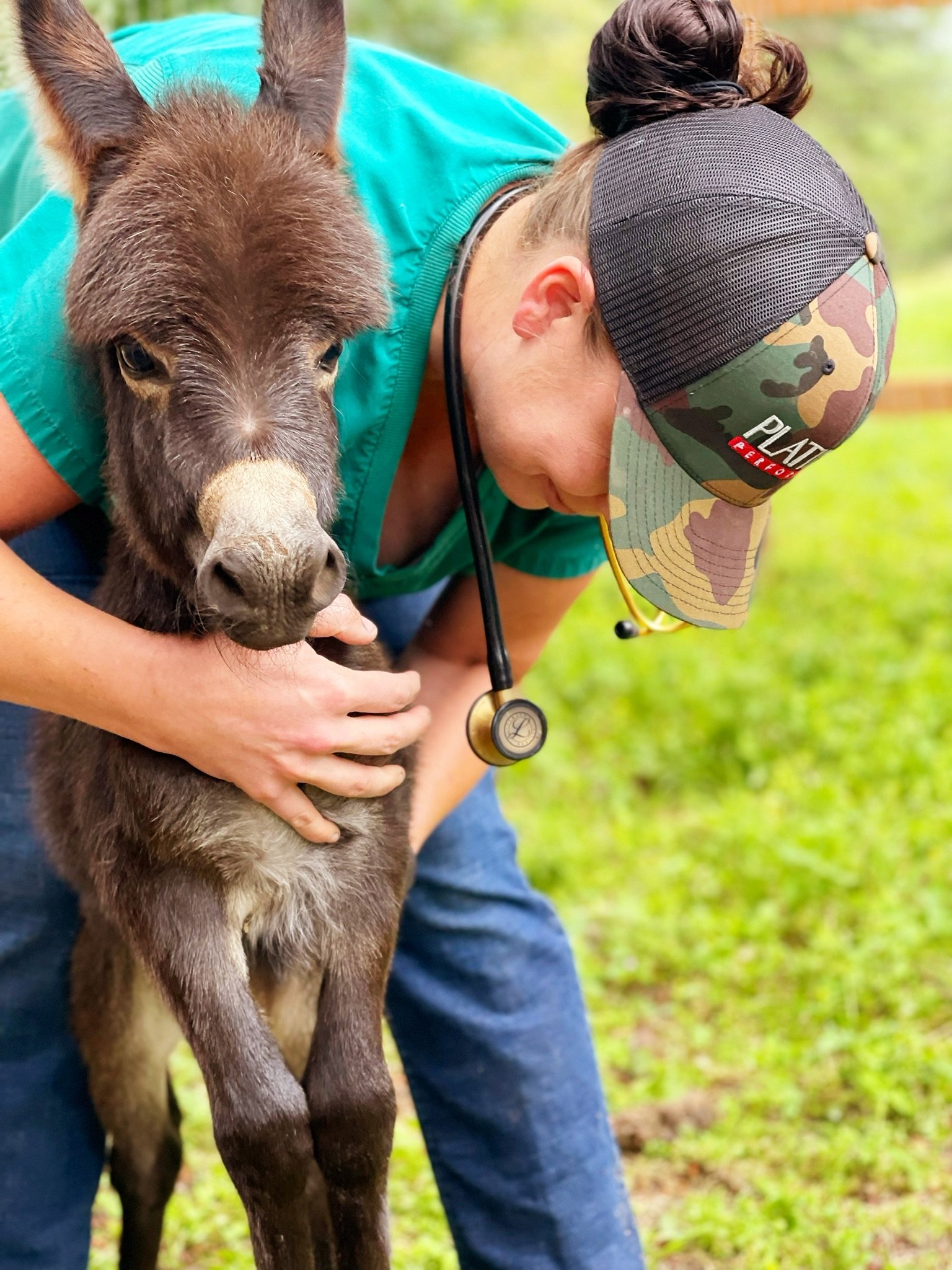A veterinarian in a camouflage cap examining a baby donkey with a stethoscope in a grassy outdoor setting.