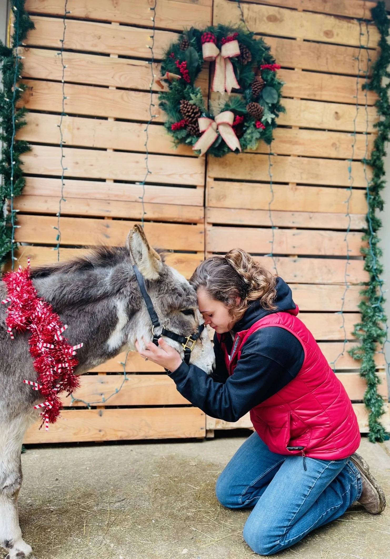 A woman kneeling and touching foreheads with a donkey, both with eyes closed, in front of a wooden wall decorated with a Christmas wreath and string lights.