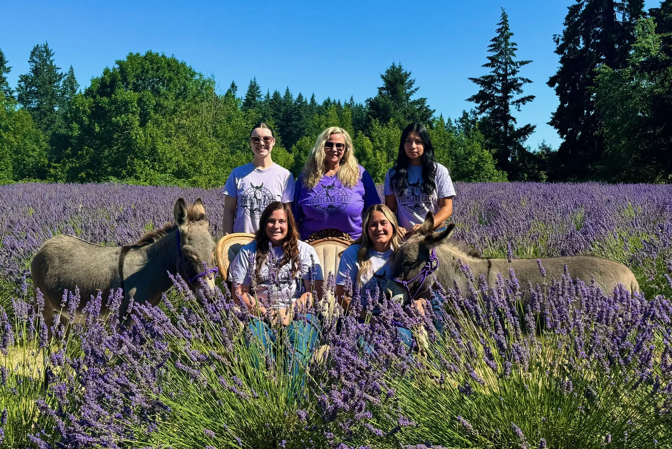 Five women with two donkeys in a lavender field, wearing matching white and purple shirts, with dense green trees and blue sky in the background.