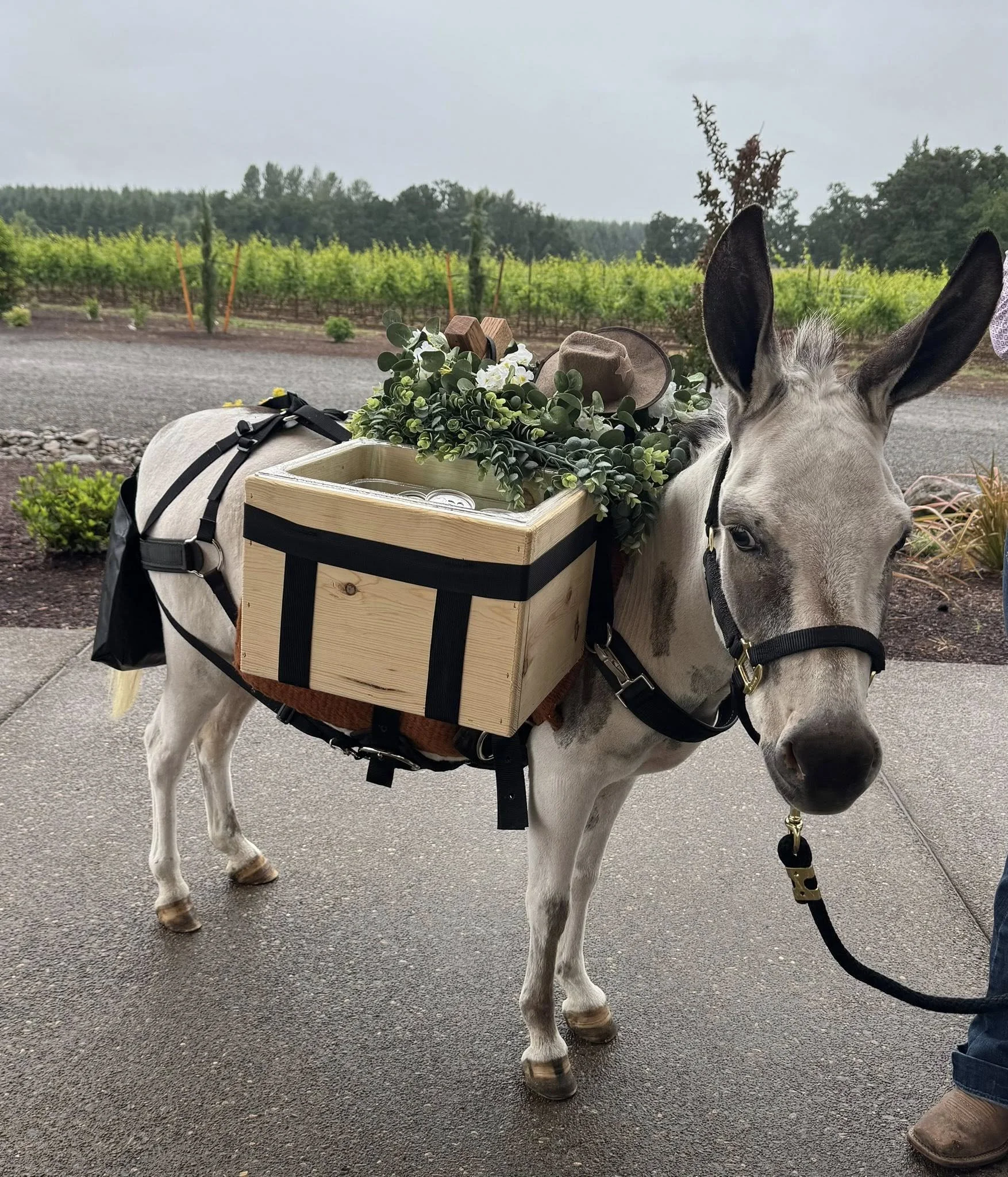 Fruitland Creek Farm Beverage Burros