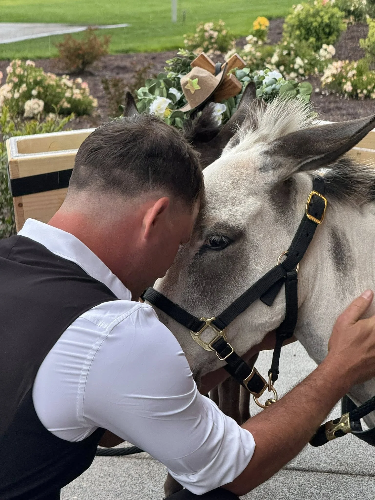 Man hugging a white and gray donkey outdoors near flower beds.