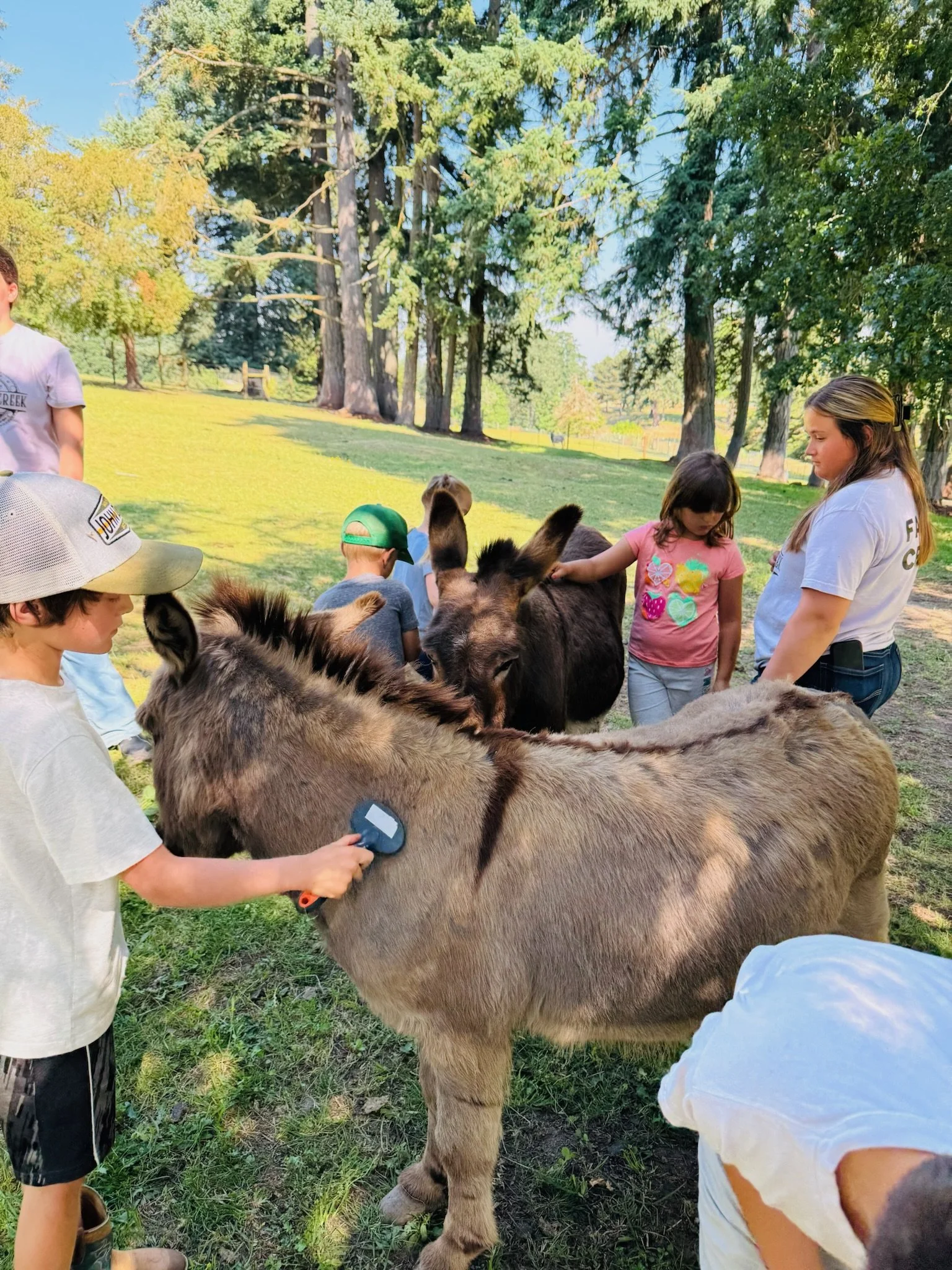 Children and an adult with a crew cut petting a donkey in a grassy park area with tall trees in the background.