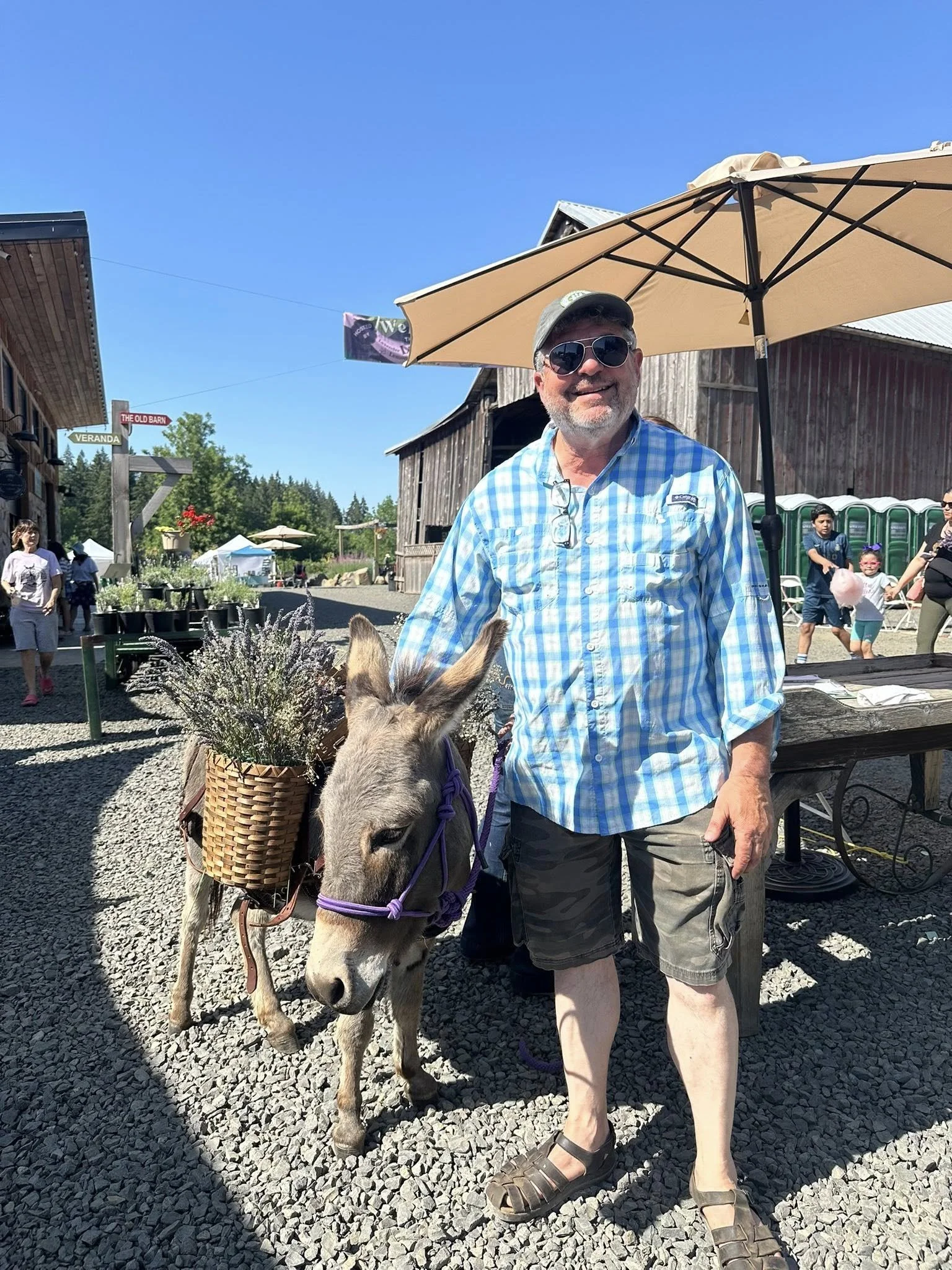 A man in sunglasses, a blue plaid shirt, and khaki shorts standing outdoors next to a donkey with a basket of flowers on its back, under a beige umbrella on a sunny day.