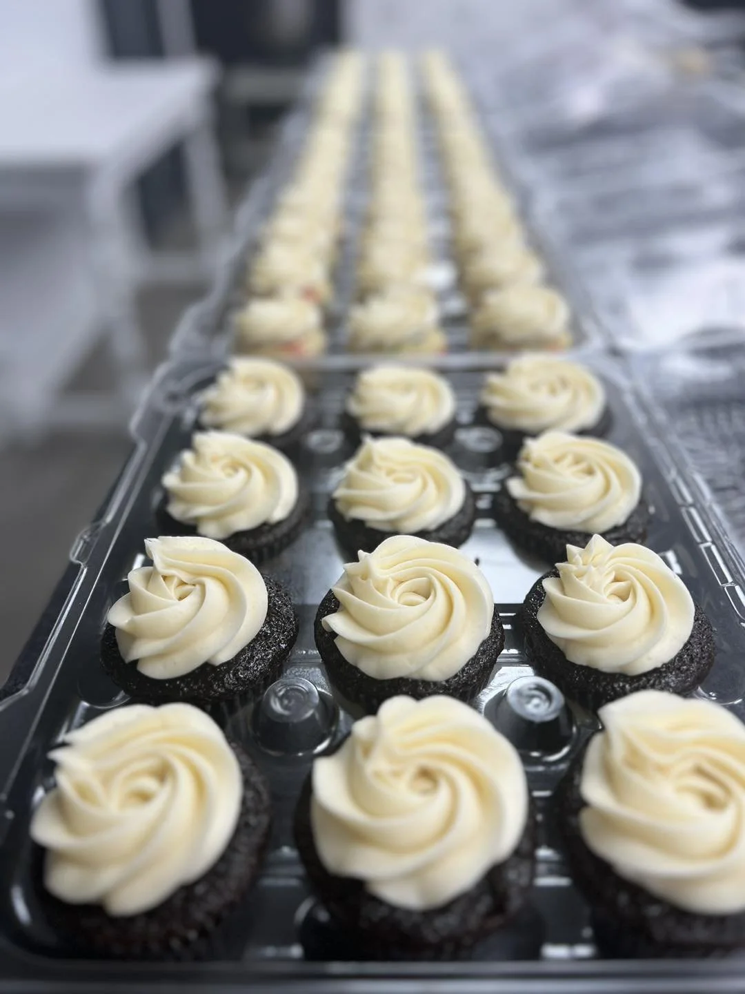 Chocolate cupcakes with white frosting swirls on a baking tray in a bakery or commercial kitchen.