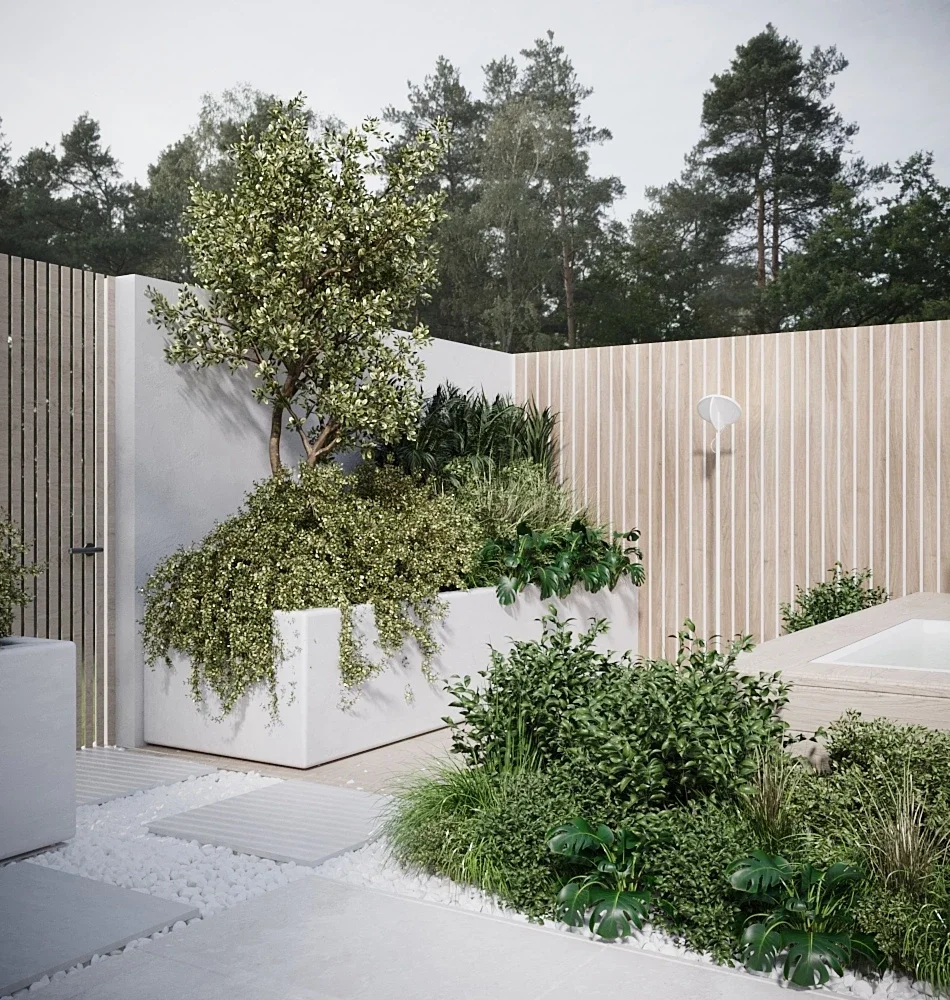 Biophilic Design: Bringing the Outdoors Inside