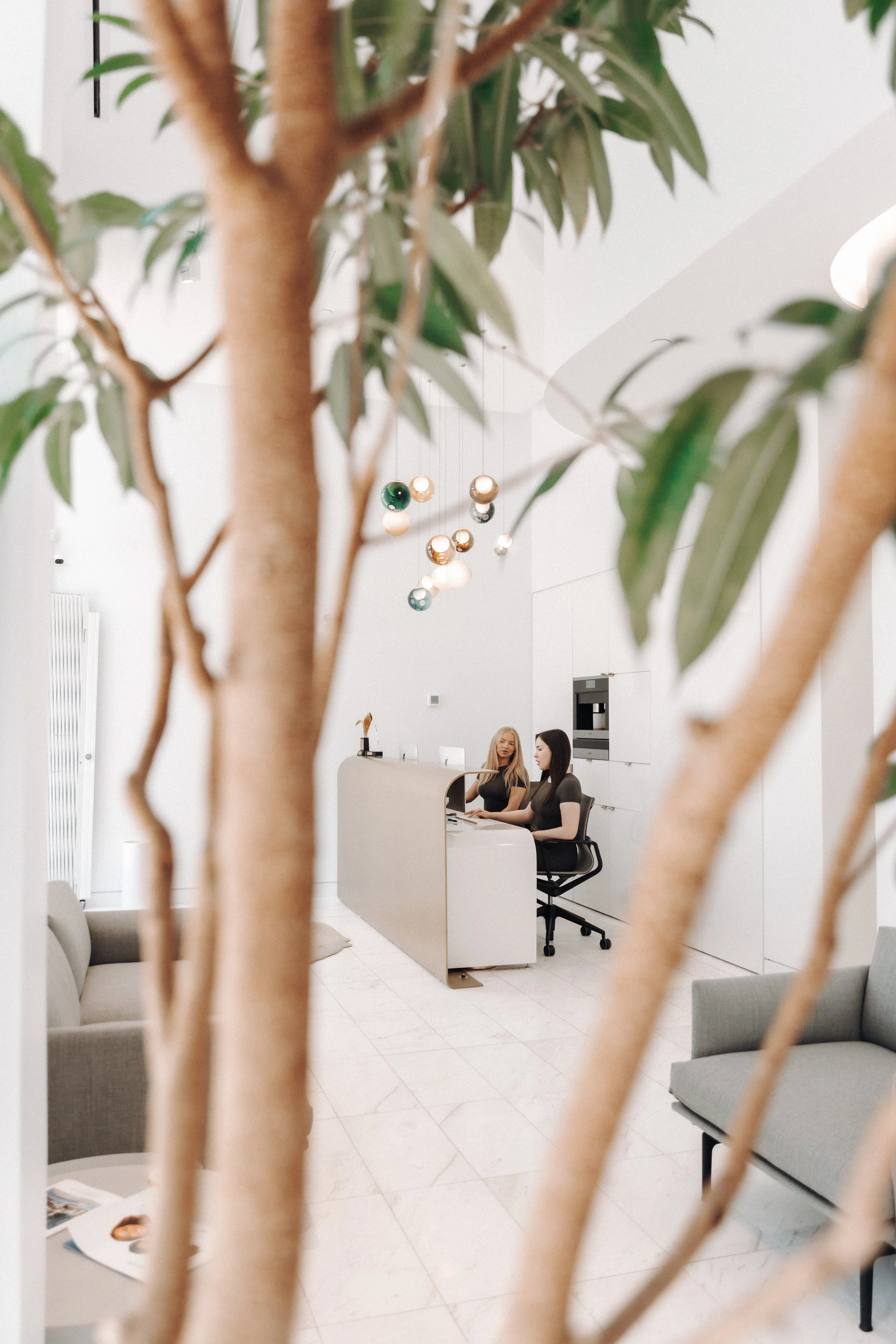 Two women sitting at a modern white reception desk in a bright, minimalistic office, viewed through the branches of a large indoor plant.