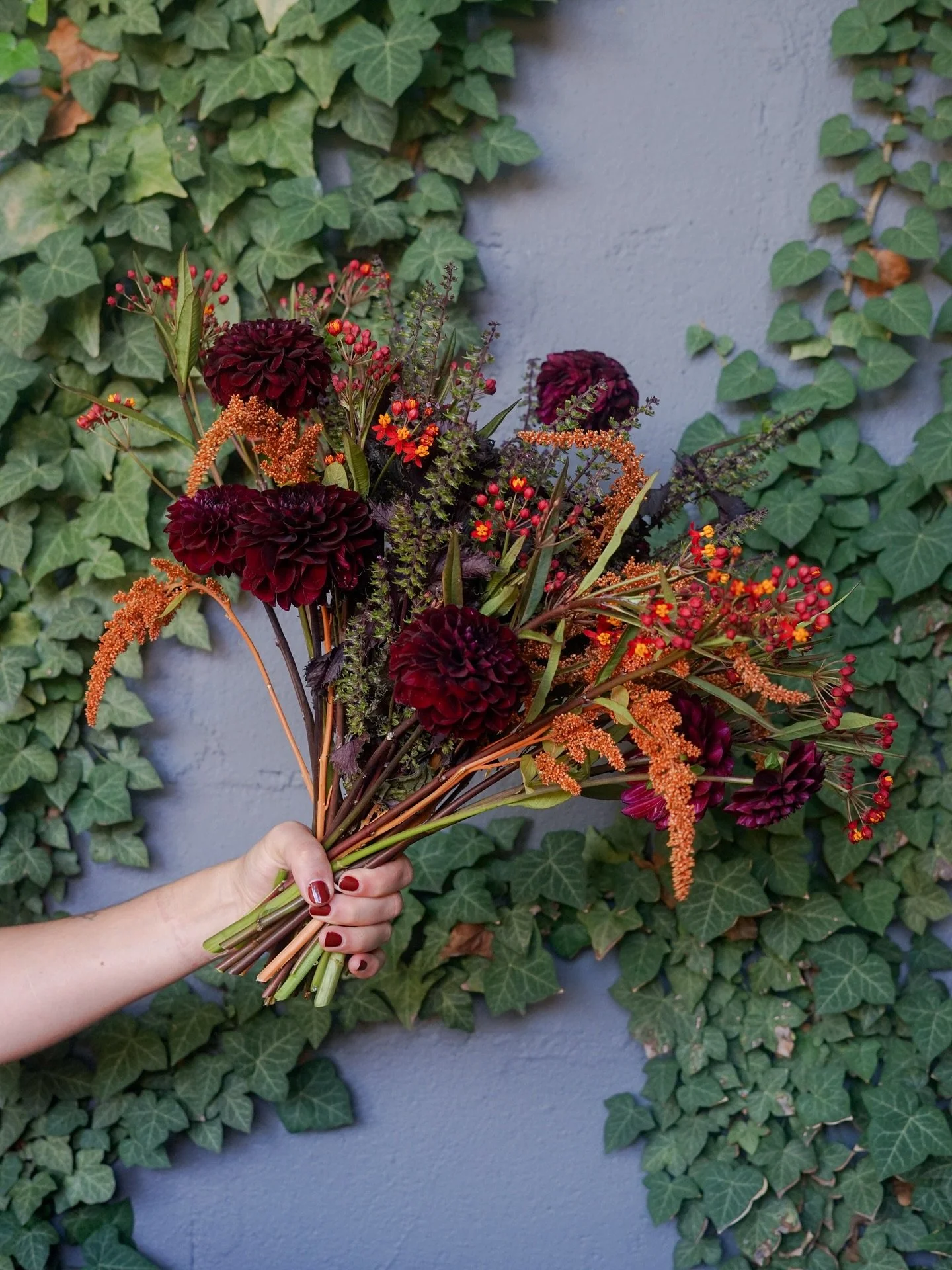 What a change in the season looks like 
#fallflowers #autumnflowers