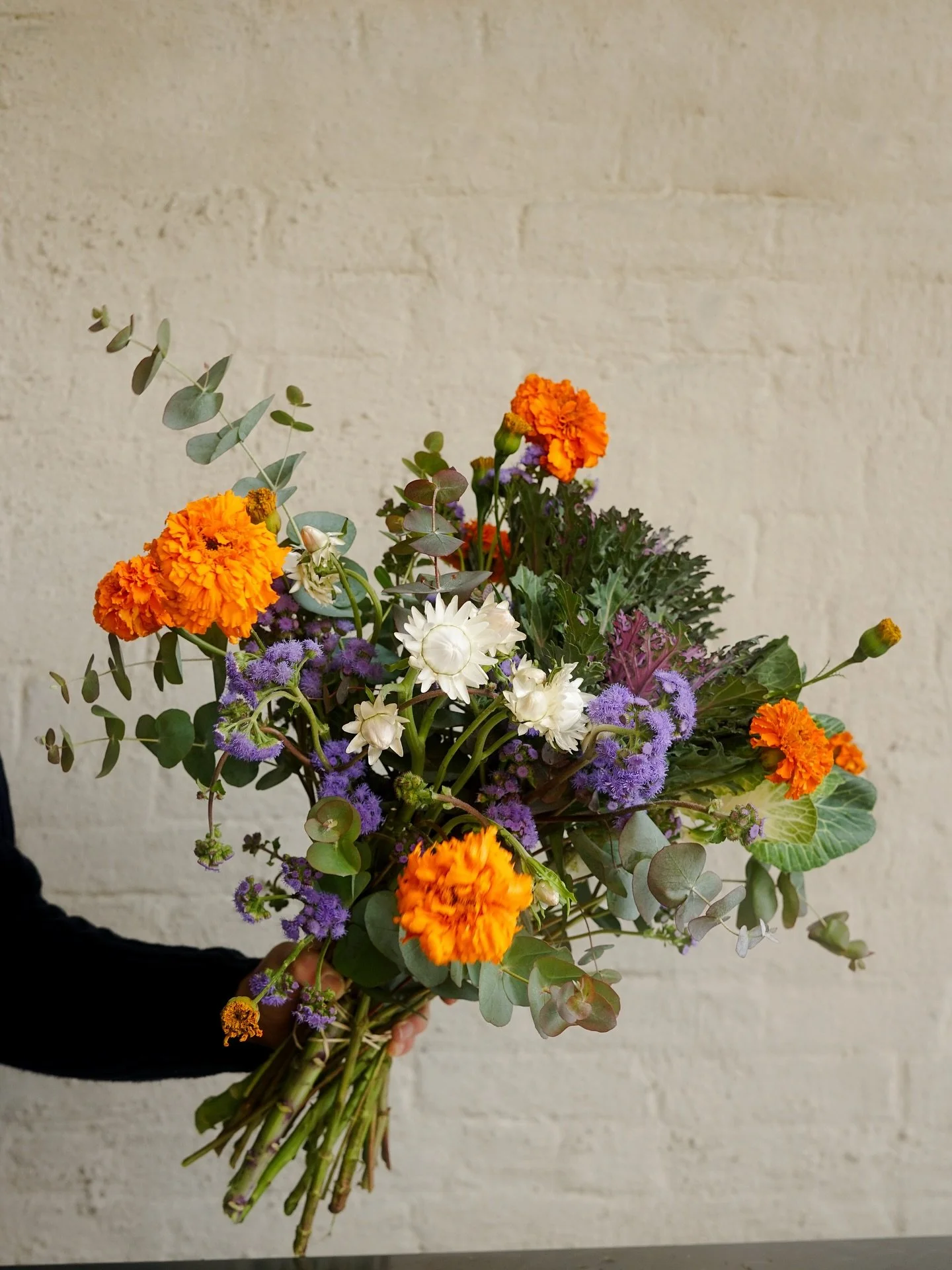 Bringing brightness as the days grow shorter.