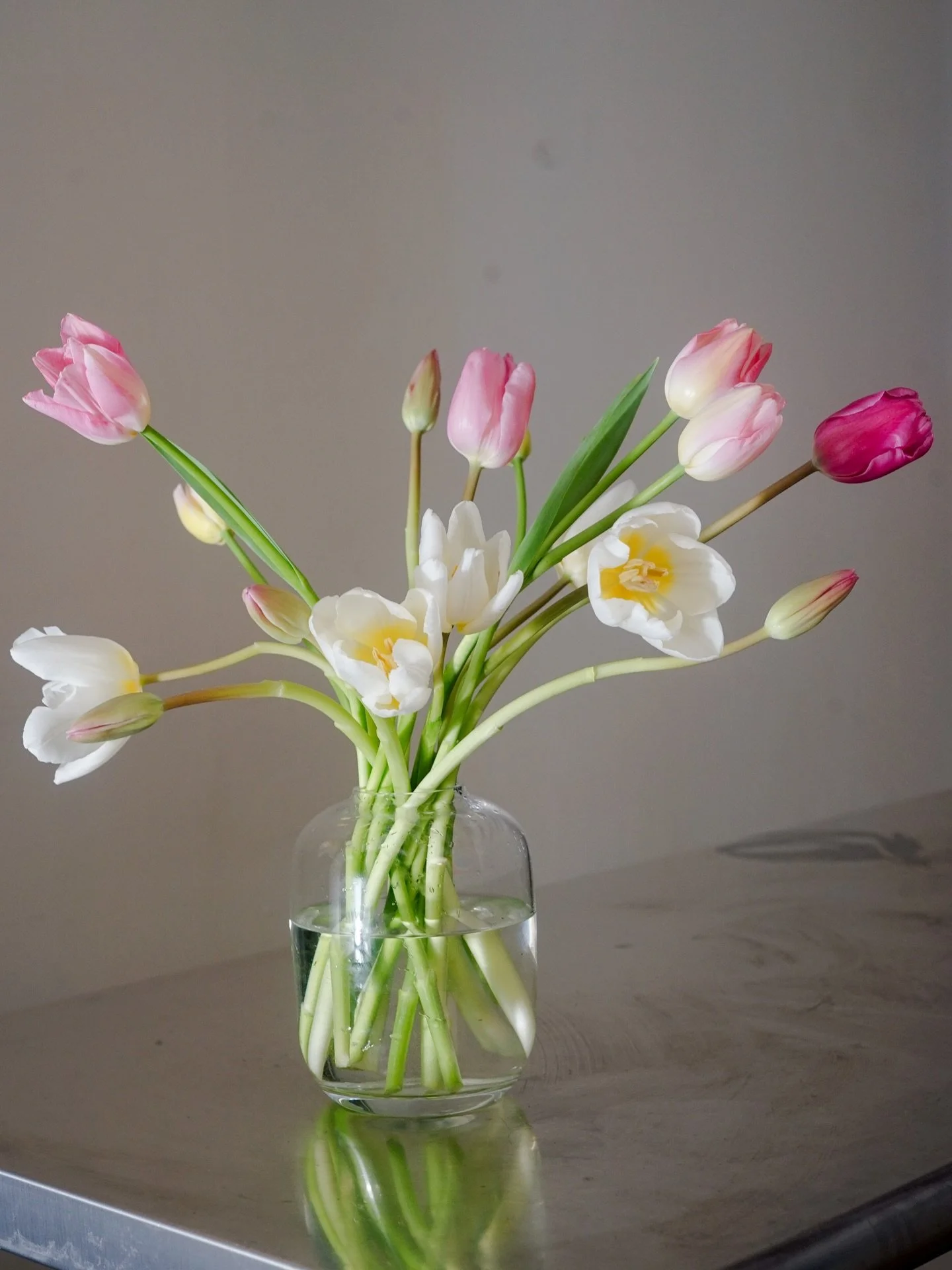 Early tulips in soft pinks, and the quiet warmth of winter flowers. A palette that moves gently. Proof that softness can be intentional 🌸