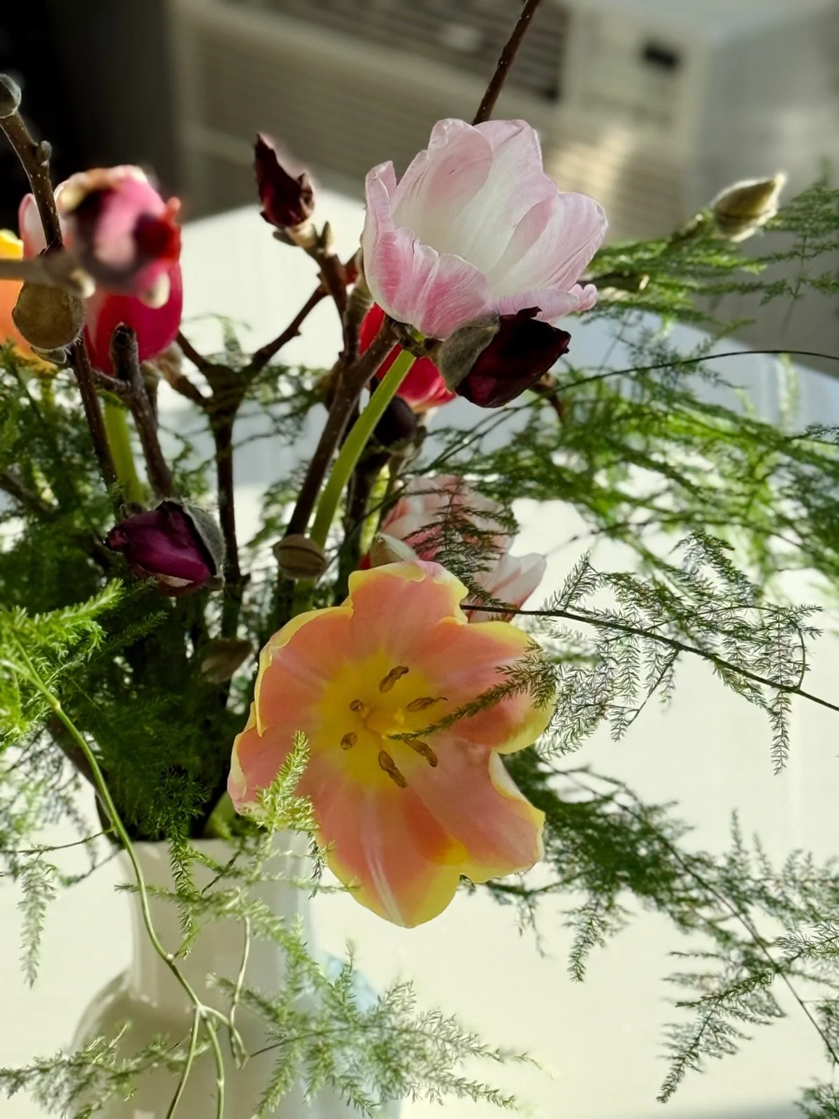 A selection inspired in adaptation and movement. 

#giveyourselfflowers as an act of love.