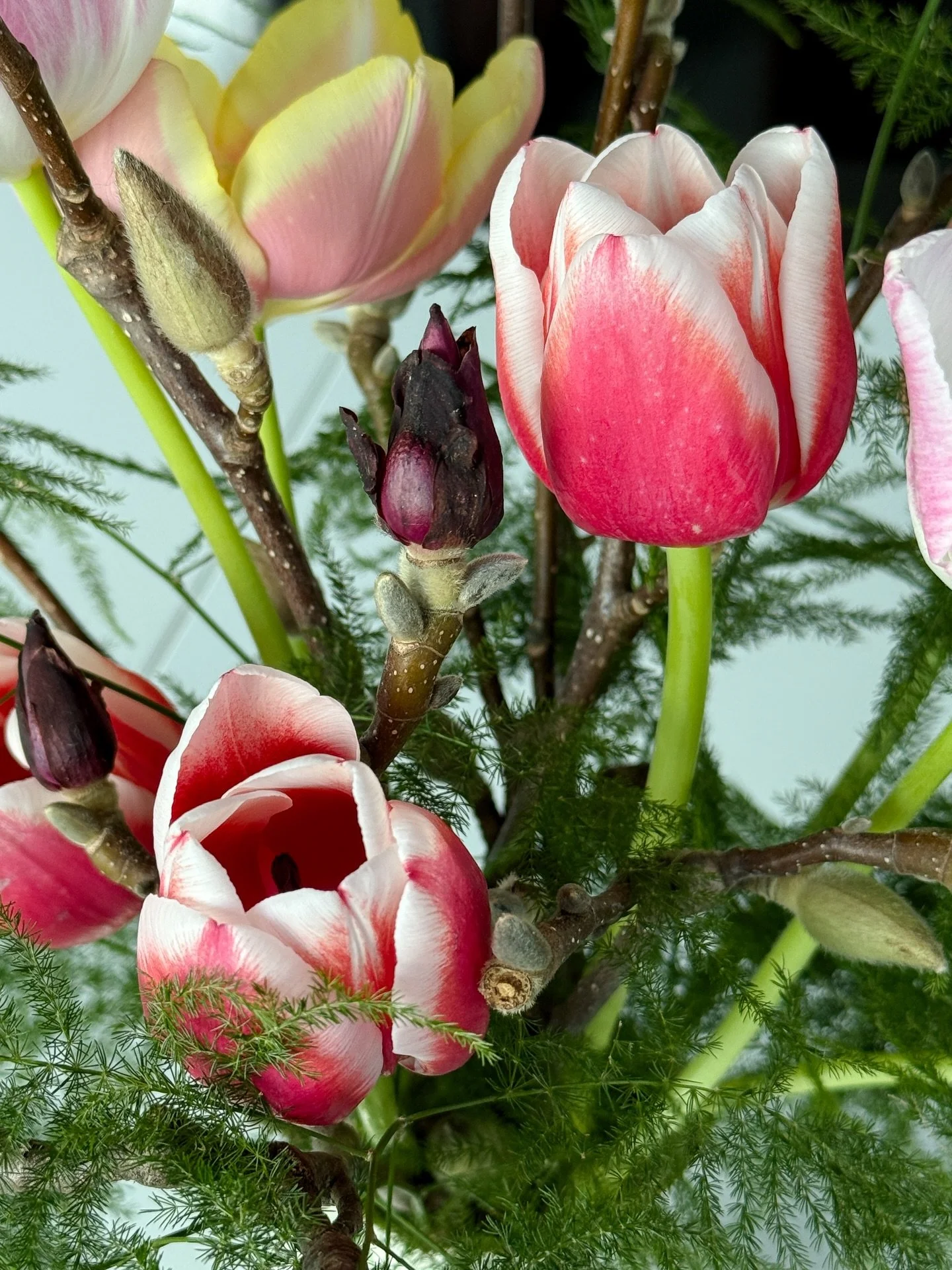 With Valentine&rsquo;s Day only two days away, we&rsquo;ve been reflecting more and more on the importance of locally grown flowers and seasonality. 

You will not be receiving roses this week. Instead, we are bringing you some of the greatest flower