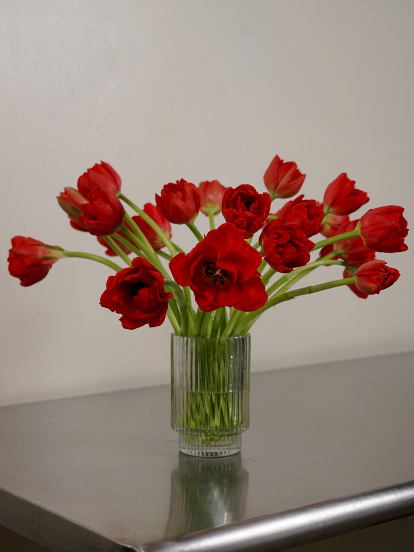 Had so much fun delivering these red tulips for Valentine&rsquo;s weekend. There is no better way to treat yourself than with flowers. 

It doesn&rsquo;t end with a Valentine&rsquo;s Day treat. Subscribe to receive flowers delivered to your doorstep 