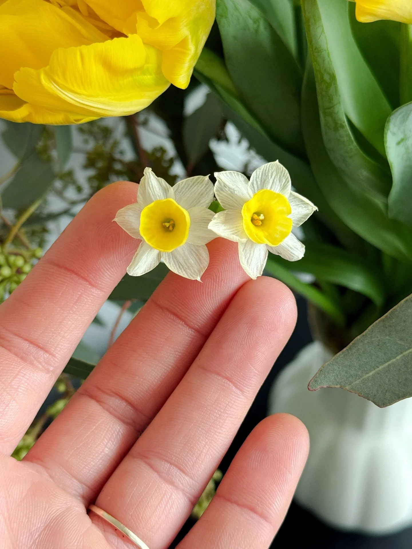 First signs of spring. We love daffodils, even if it&rsquo;s the mini version of them. 

Get flowers for yourself 🌼
