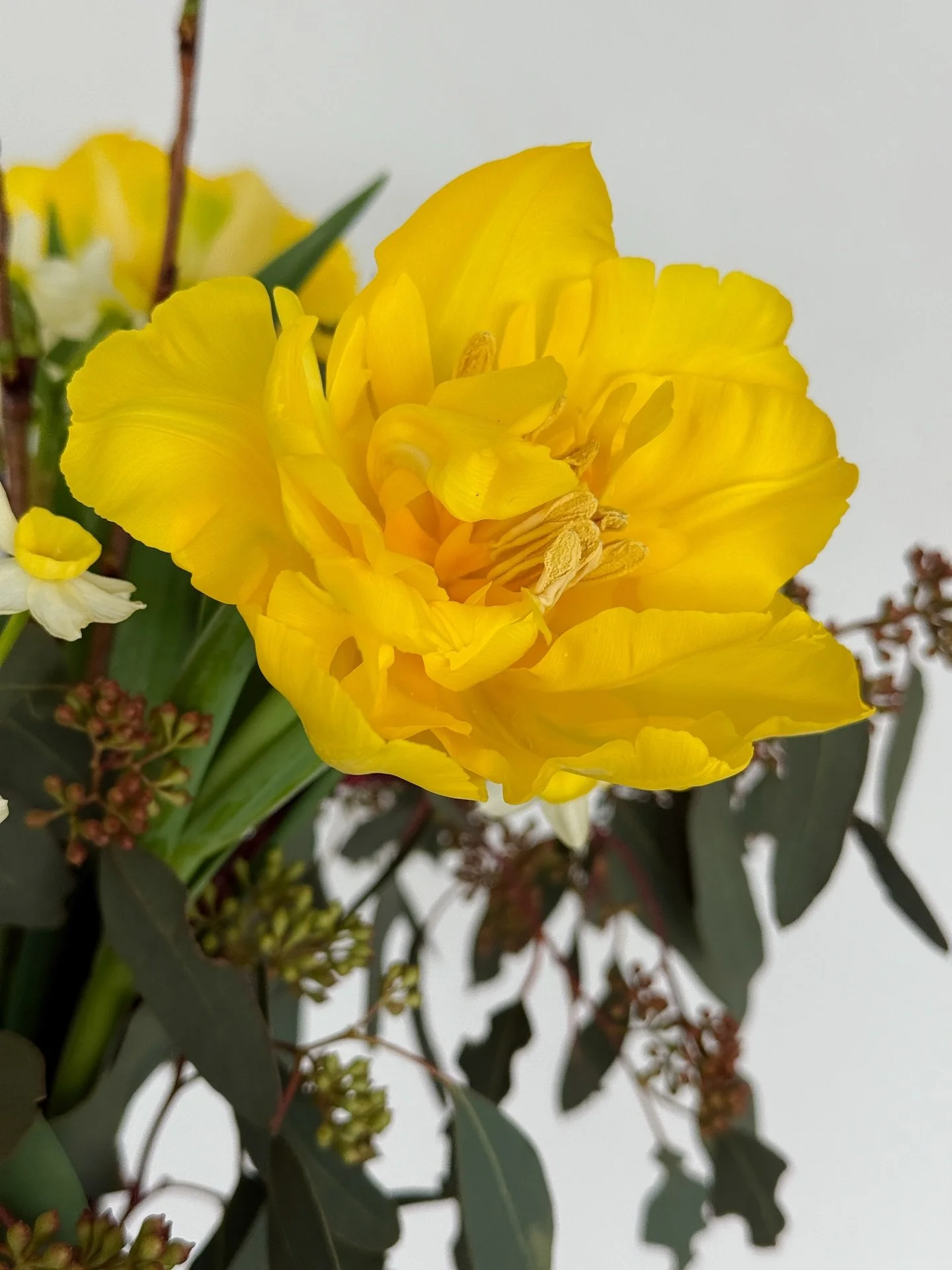 Sunshine inside and out
#giveyourselfflowers