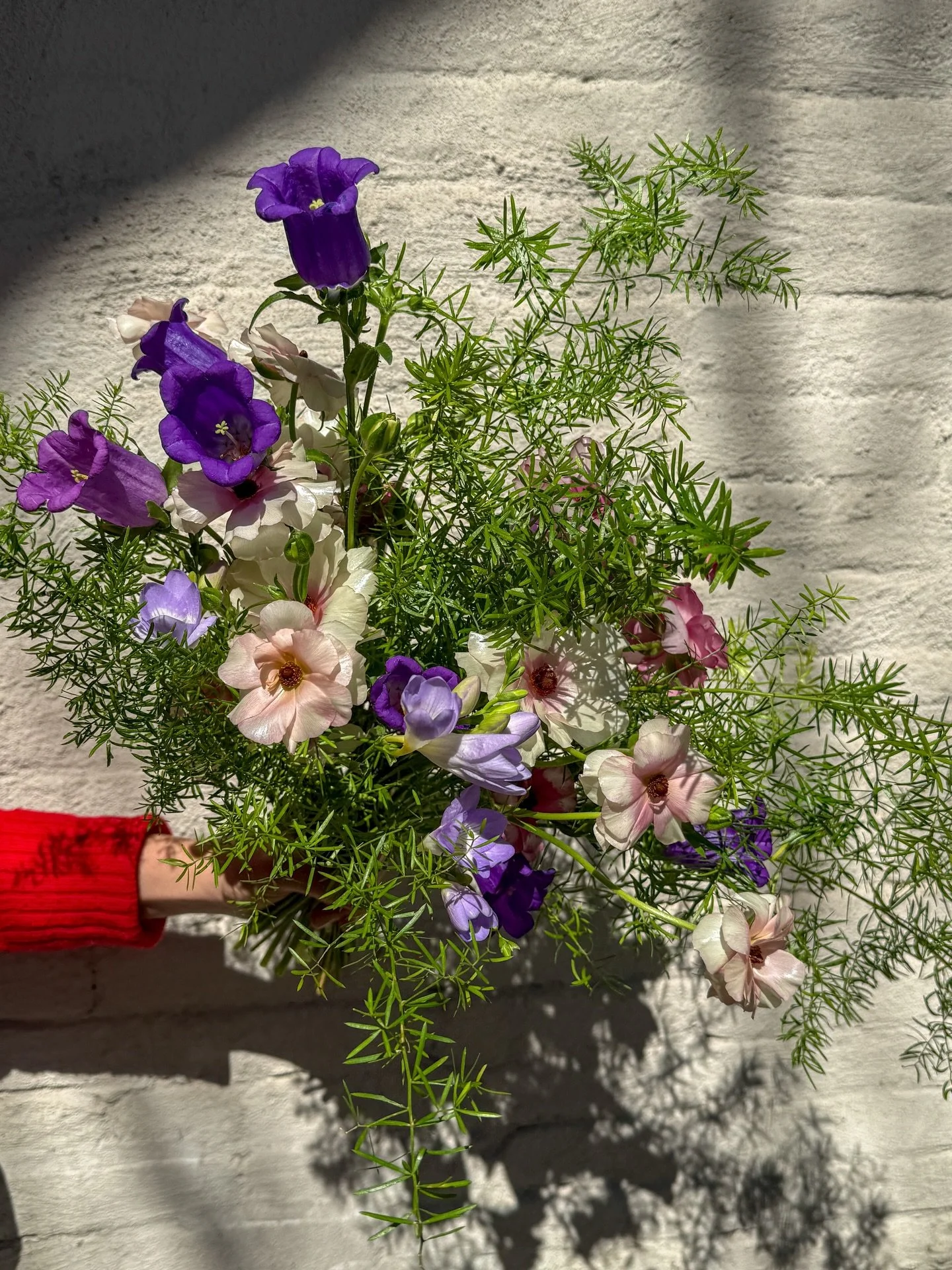 Bellflowers, freesias and butterfly ranunculus are the stars this week. Excited to bring you so many spring blooms this season. 

Give yourself flowers as an act of love and self care.