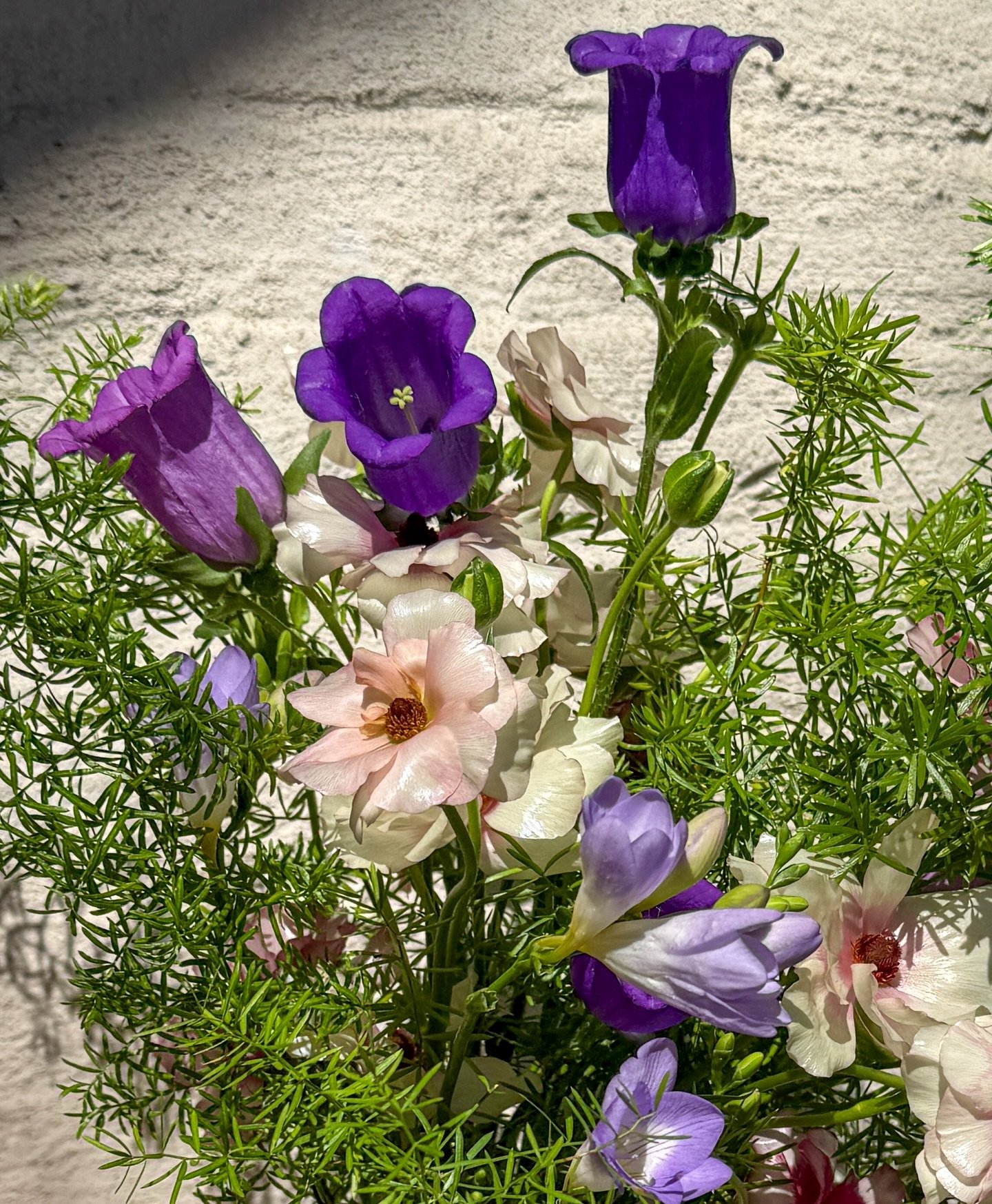 Closeup of our past weekly bouquet selection. Have you noticed your flowers change as the days go by?

#giveyourselfflowers