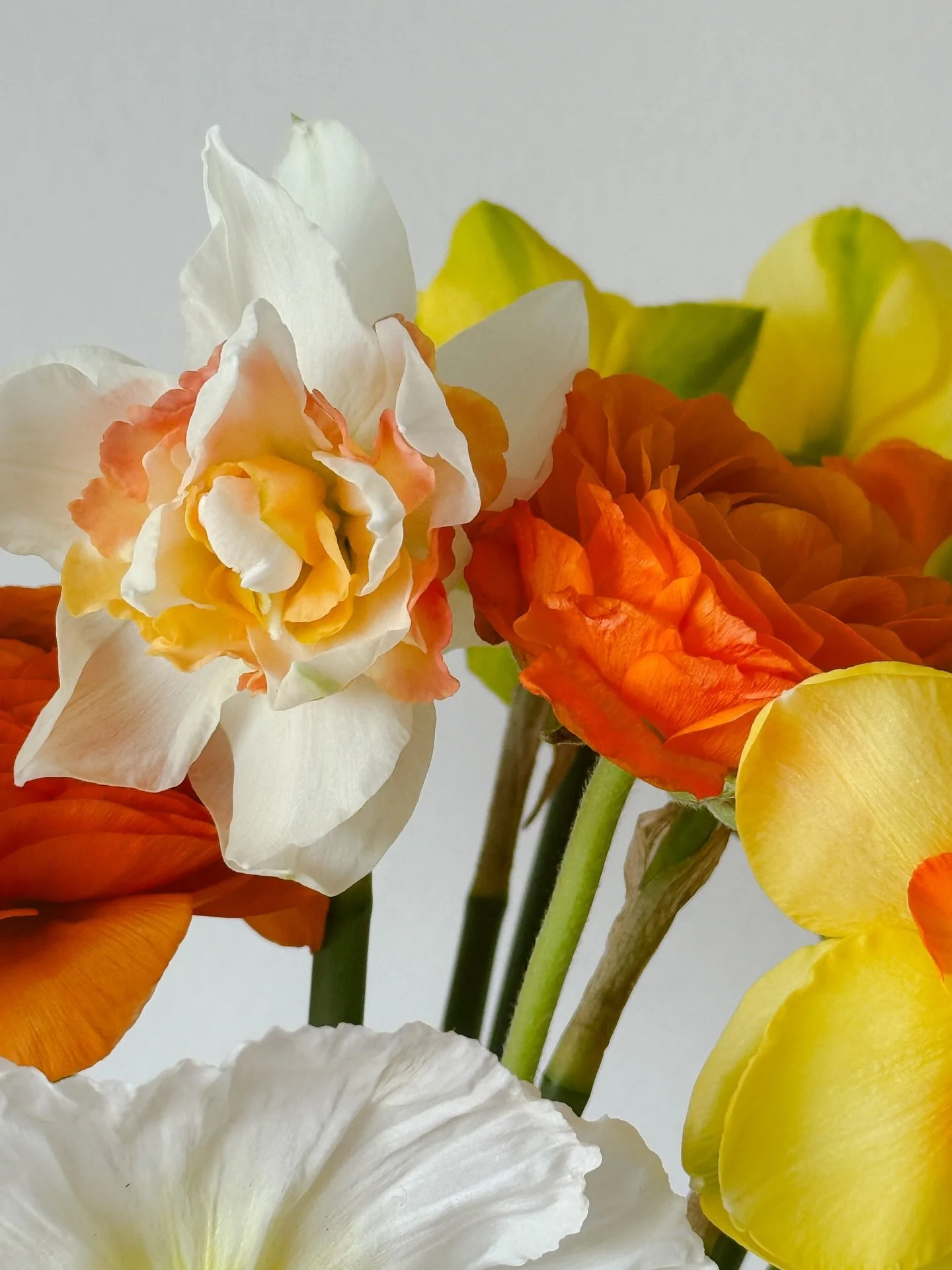 A sunny bouquet to make our days brighter. Give yourself love by giving yourself flowers.