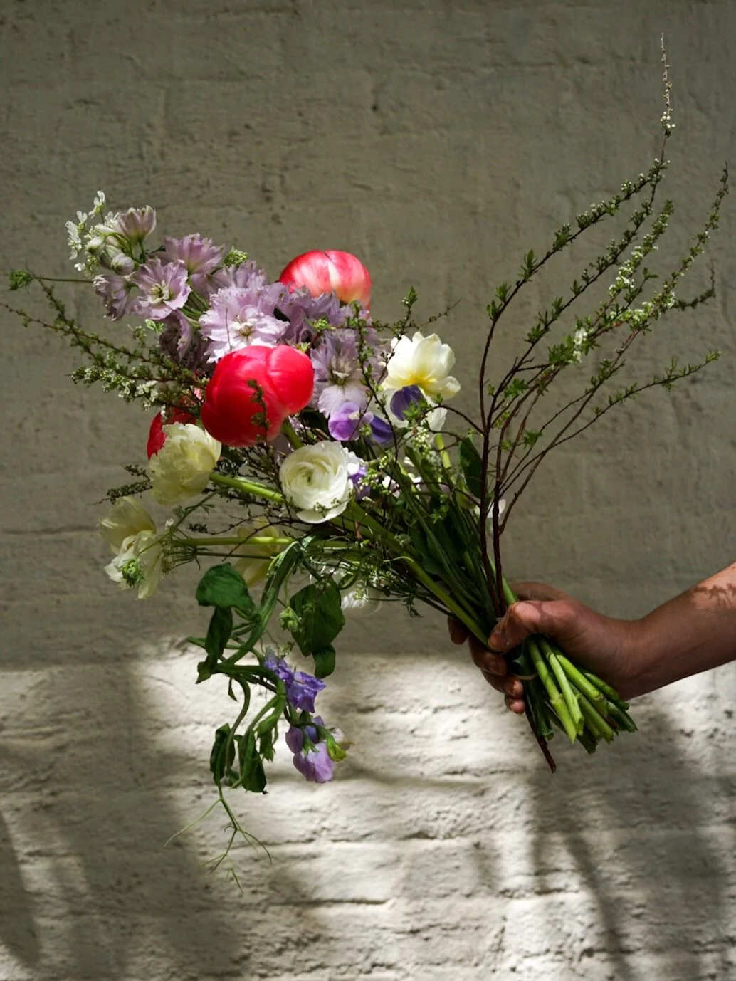 First bouquet of May, and we are obsessed what is growing. 

Give yourself peonies, tulips, ranunculus, sweetpea, delphiniums, orlaya. 

Subscribe to get flowers delivered to you🌸