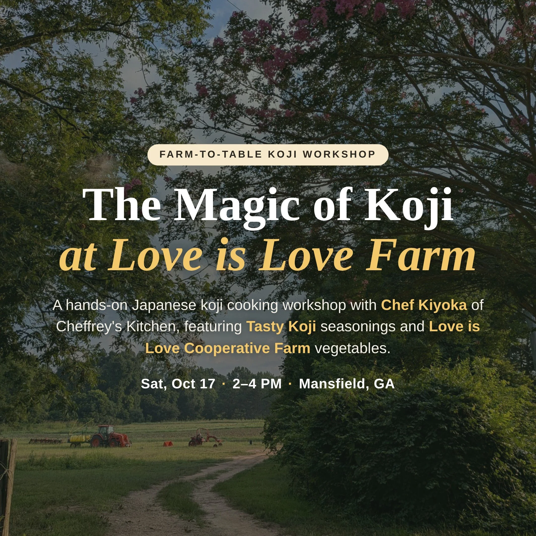 koji-title-square.jpg