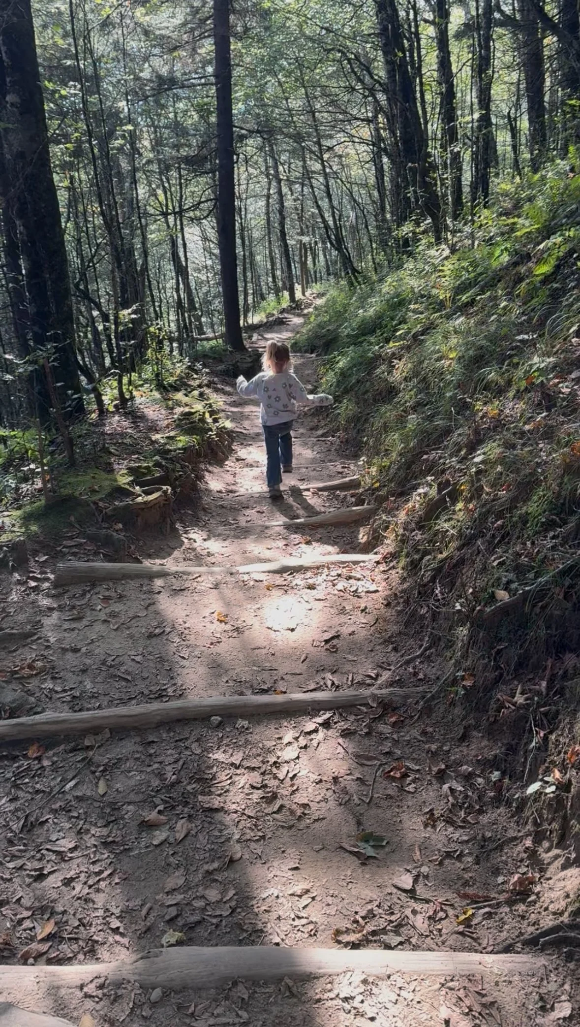 A dirt trail in a wooded forest with sunlight filtering through the trees.