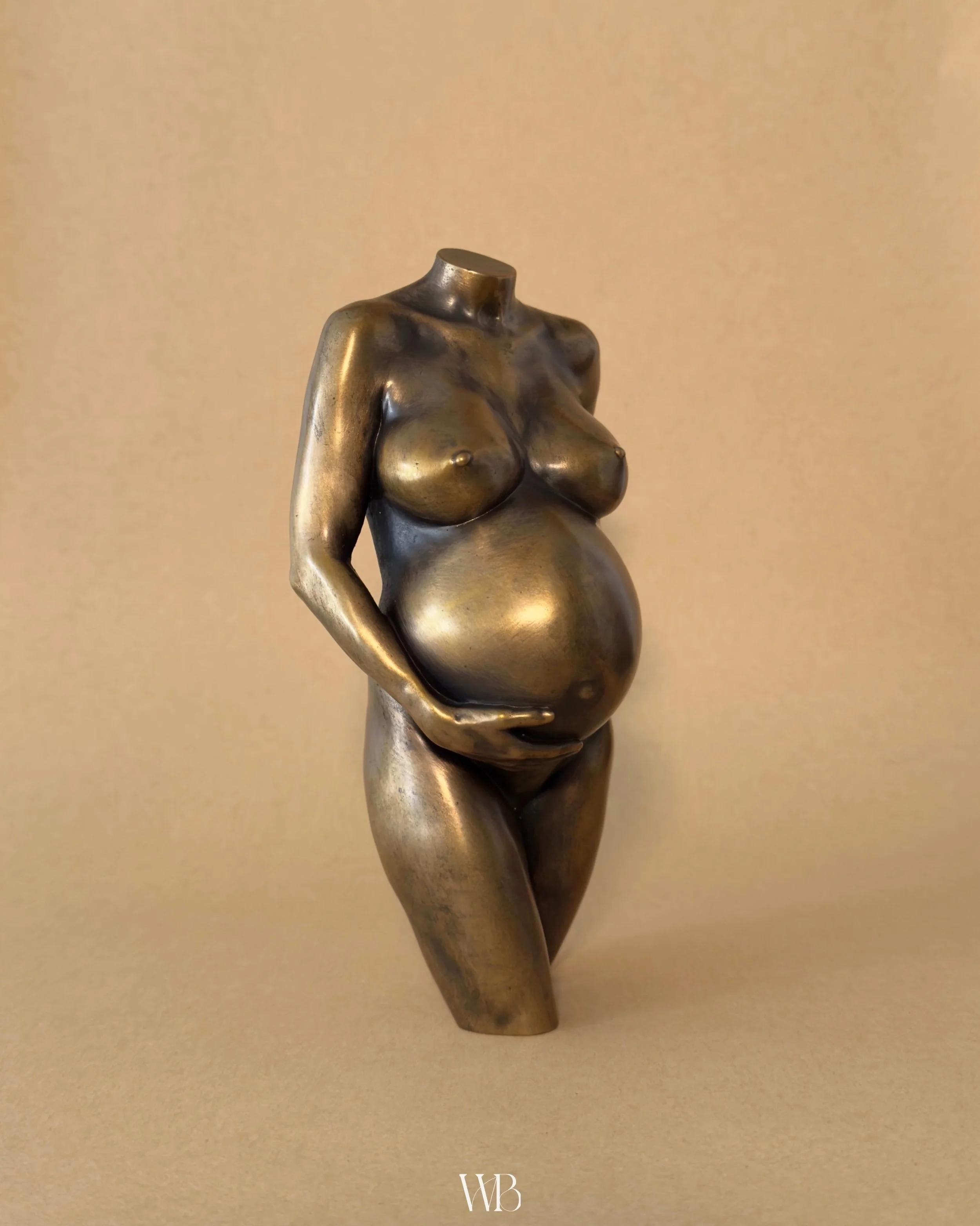 Antique Bronze. 

If you love gold accents or an antique aesthetic, this finish would work beautifully in your home. It&rsquo;s warm, timeless, and completely unique to you. Cast in bronze and yours to keep forever.

📍Sessions available in Melbourne