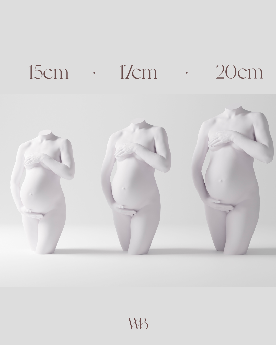 Pregnancy Sculpture Sizes Melbourne