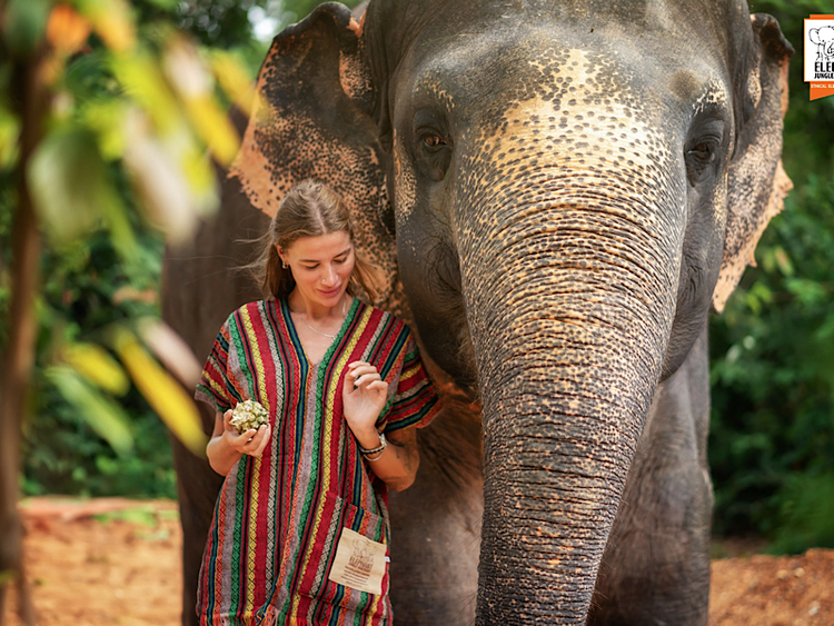 Elephant Jungle Sanctuary Phuket