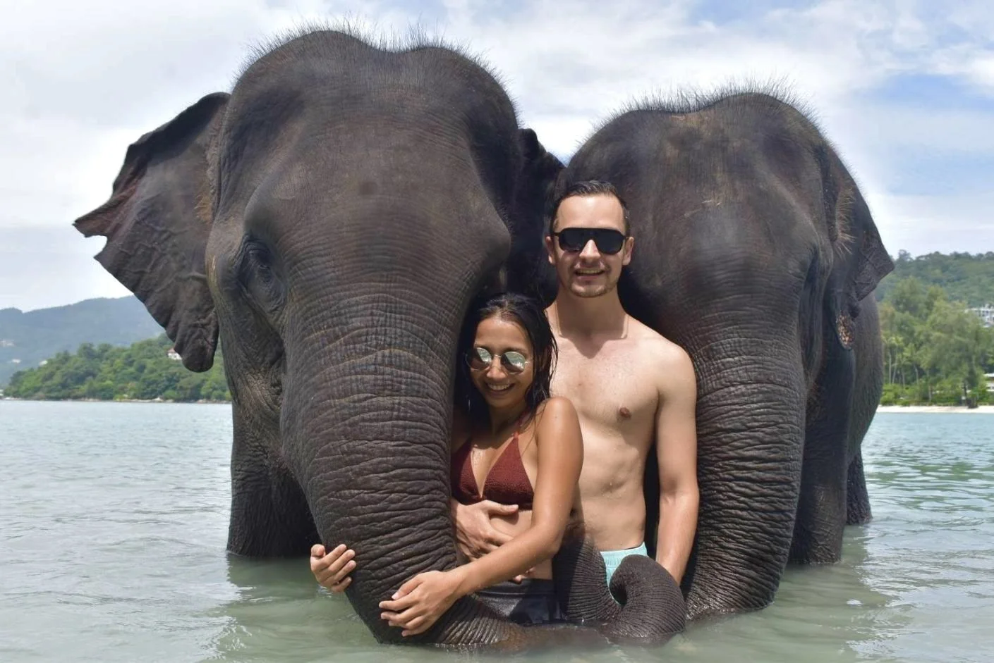 Elephant Swiming Lucky beach.jpg