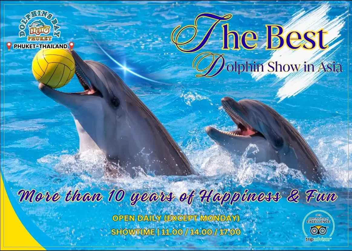 Dolphin Show Phuket PKT.webp