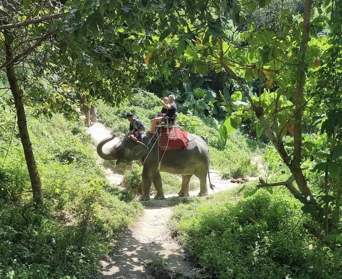 Elephant Trekking.jpg