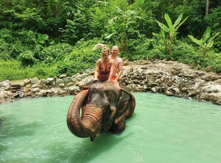 Elephant Feeding and Bathing Experience in Phuket