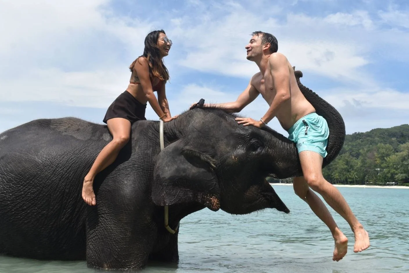 Elephant Swimming at Lucky Beach Phuket