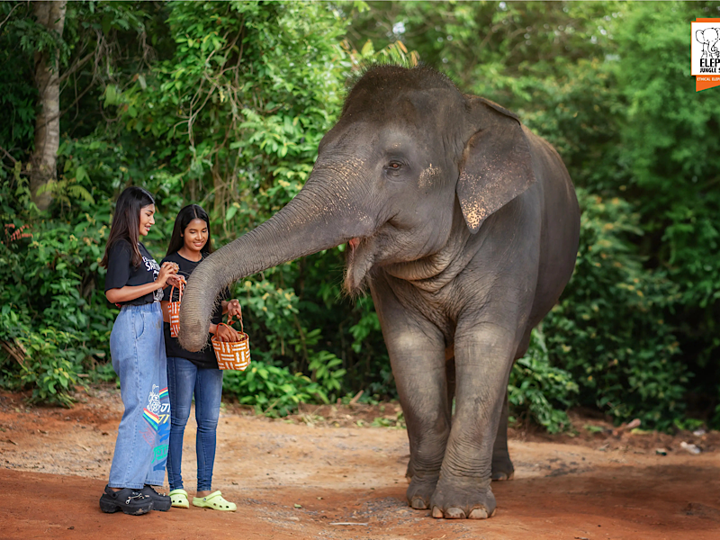 Elephant Sanctuary Thailand