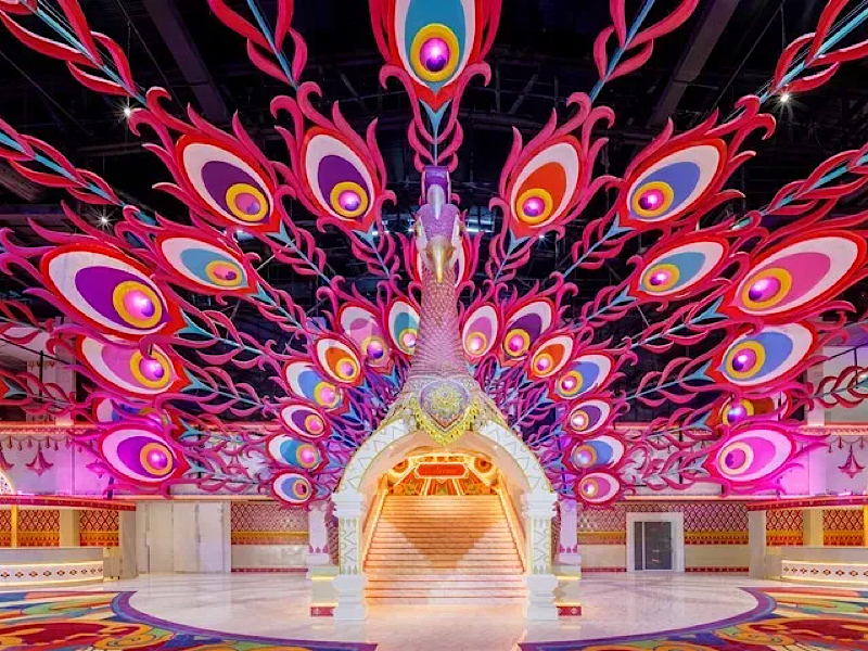 Carnival Magic Show & Dinner Buffet Package