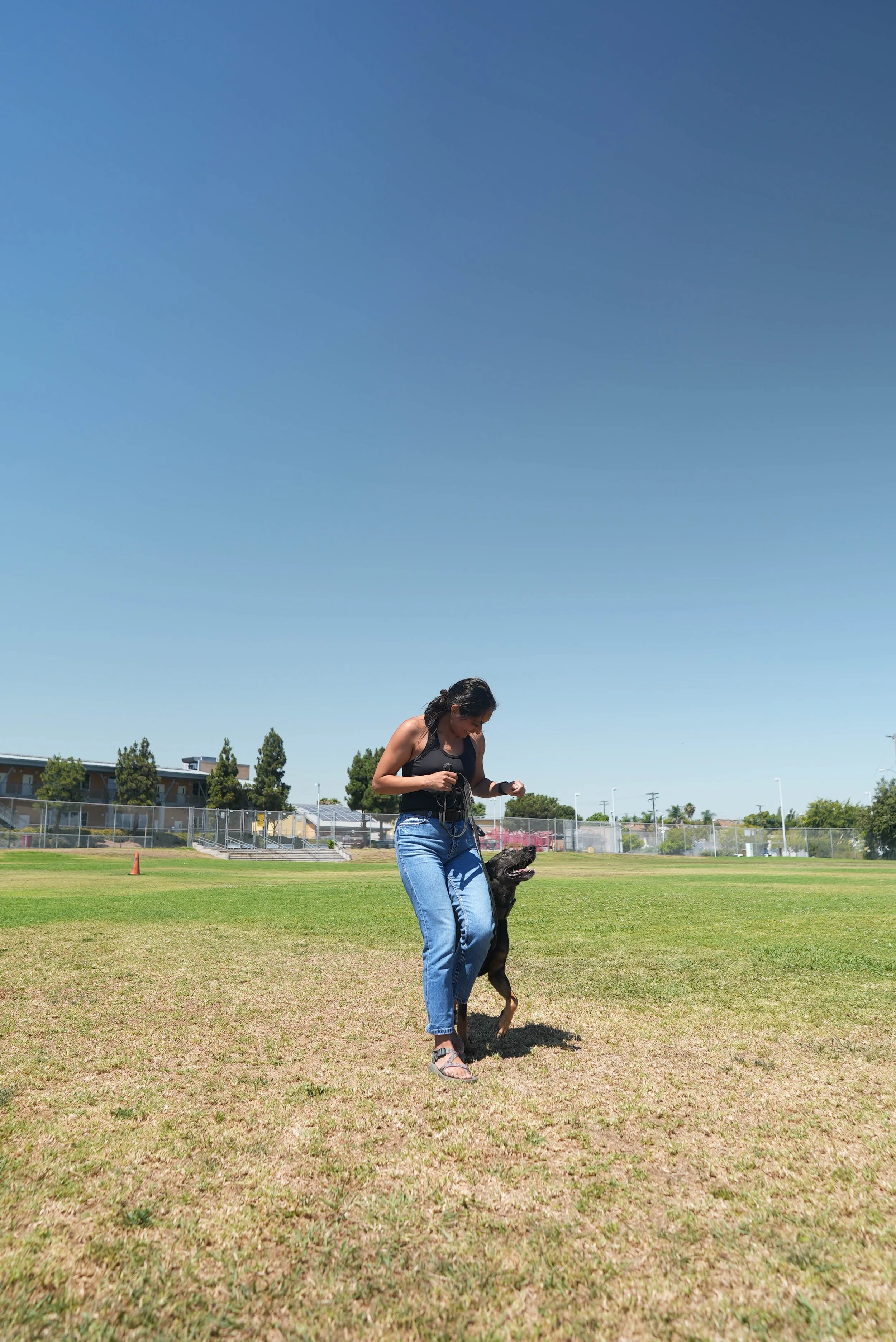 A woman playing with a dog on a grassy field during a sunny day, with a clear blue sky and some trees in the background.