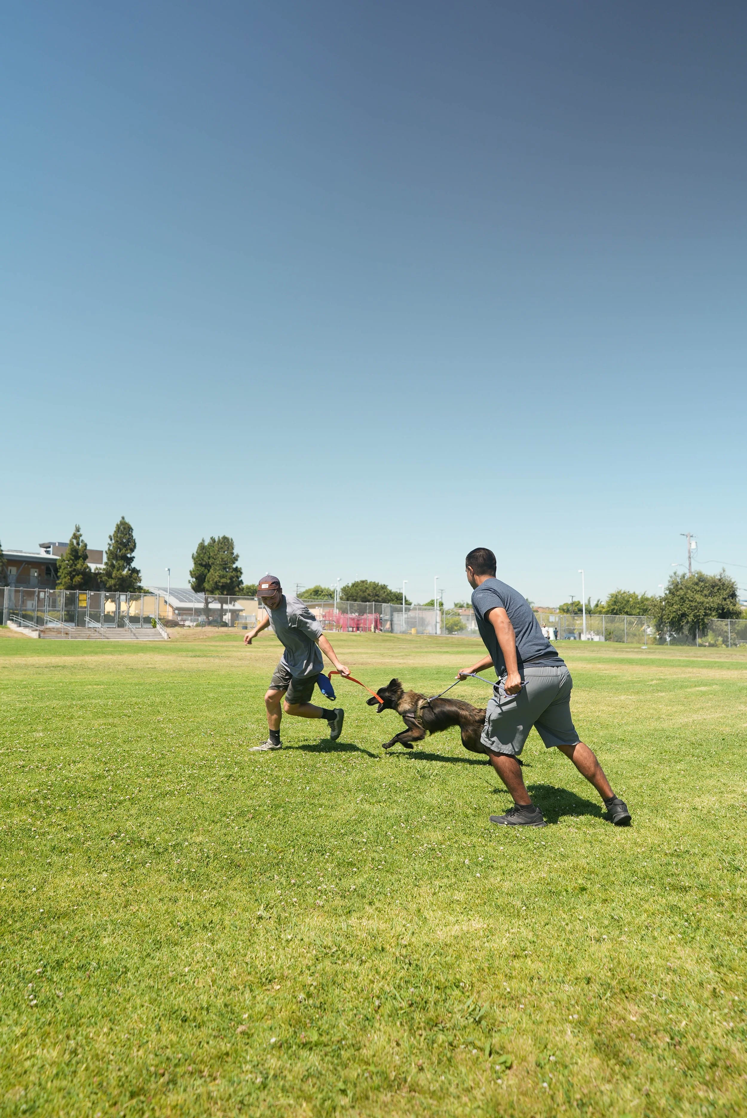 Two men are playing tug of war with a black dog on a grassy field under a clear blue sky.