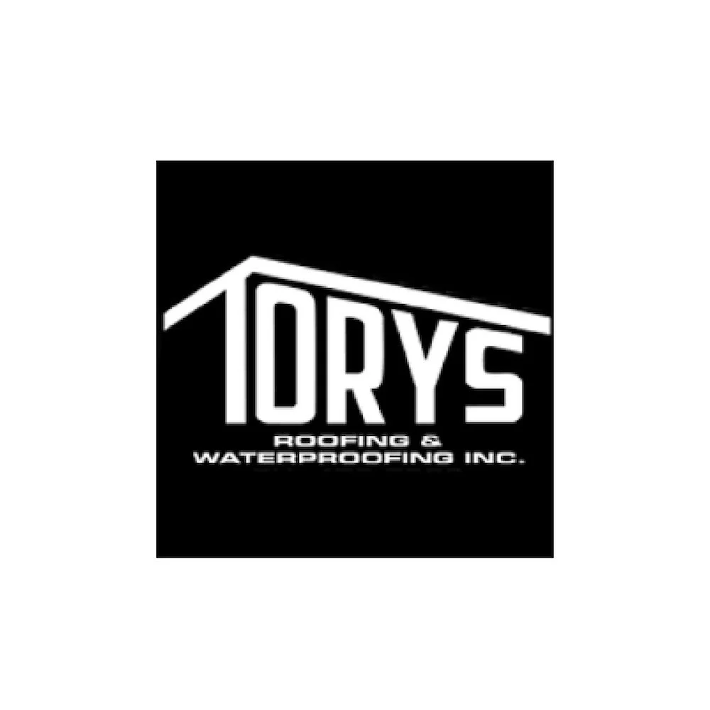 Logo for 10Dry's Roofing & Waterproofing Inc. with a stylized roof graphic