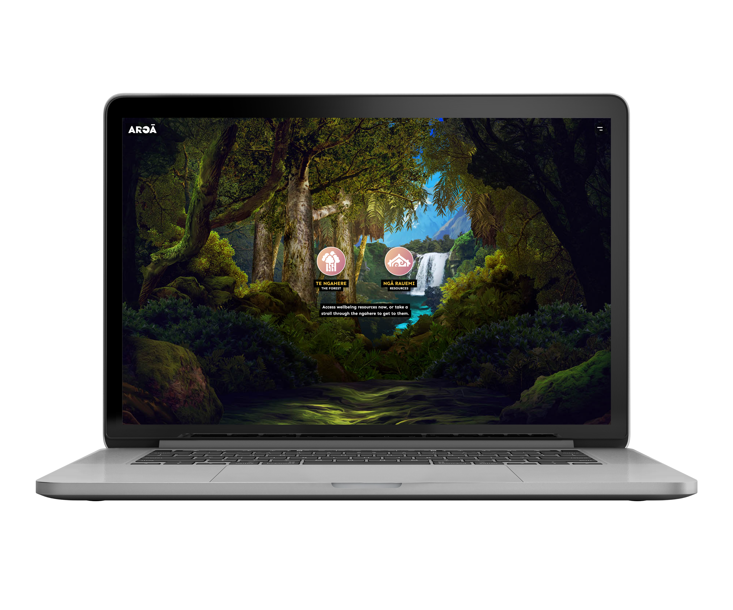 Laptop_AROA.png