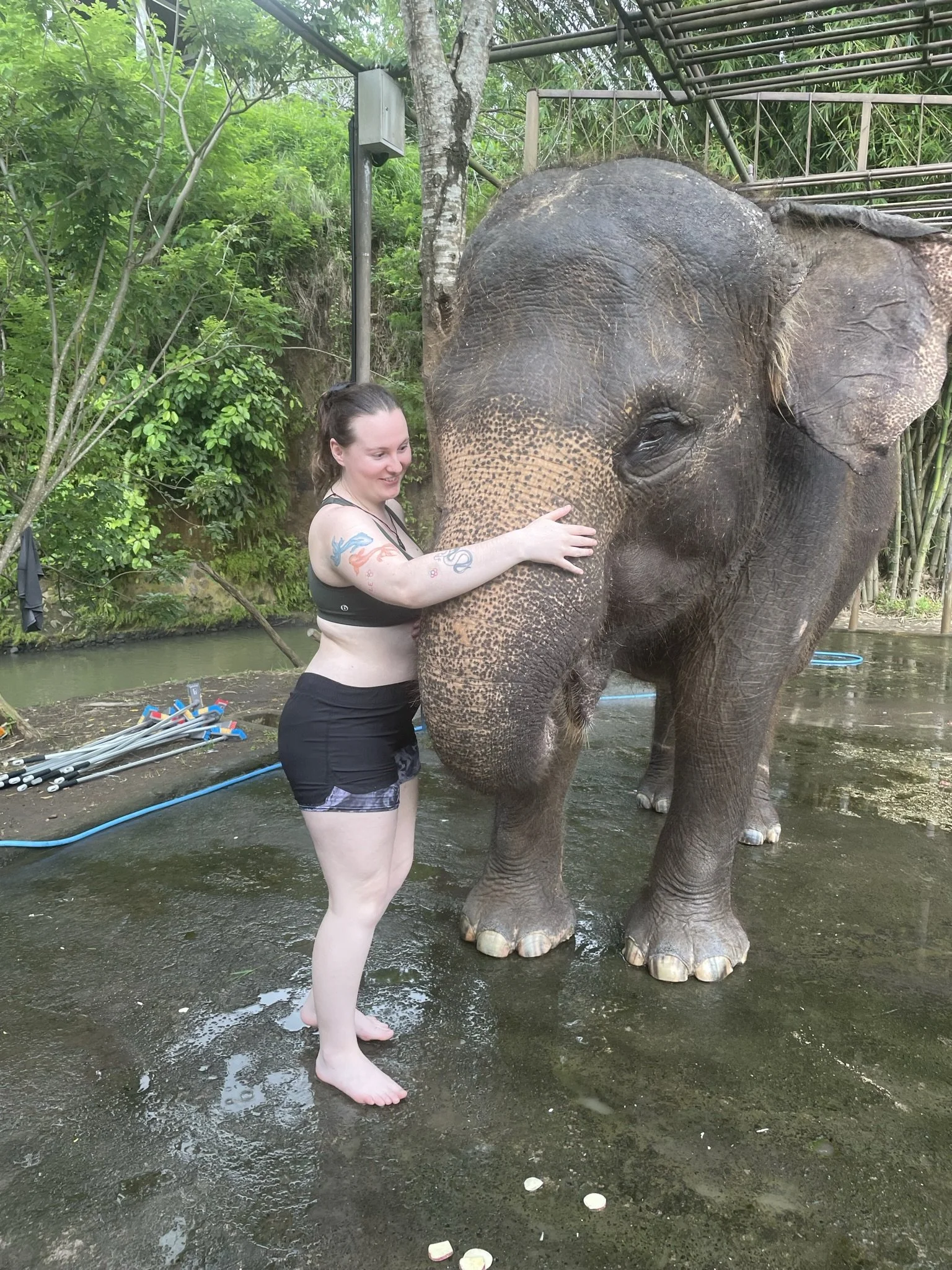 The Day My Body Said No