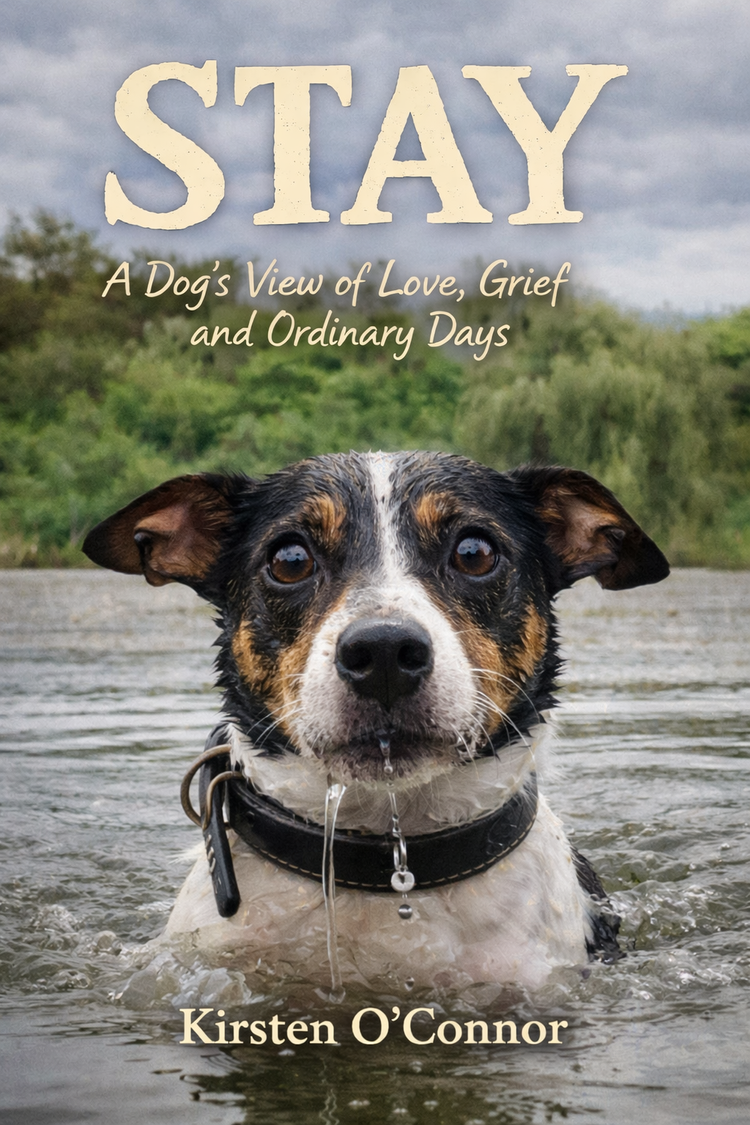 Cover of STAY