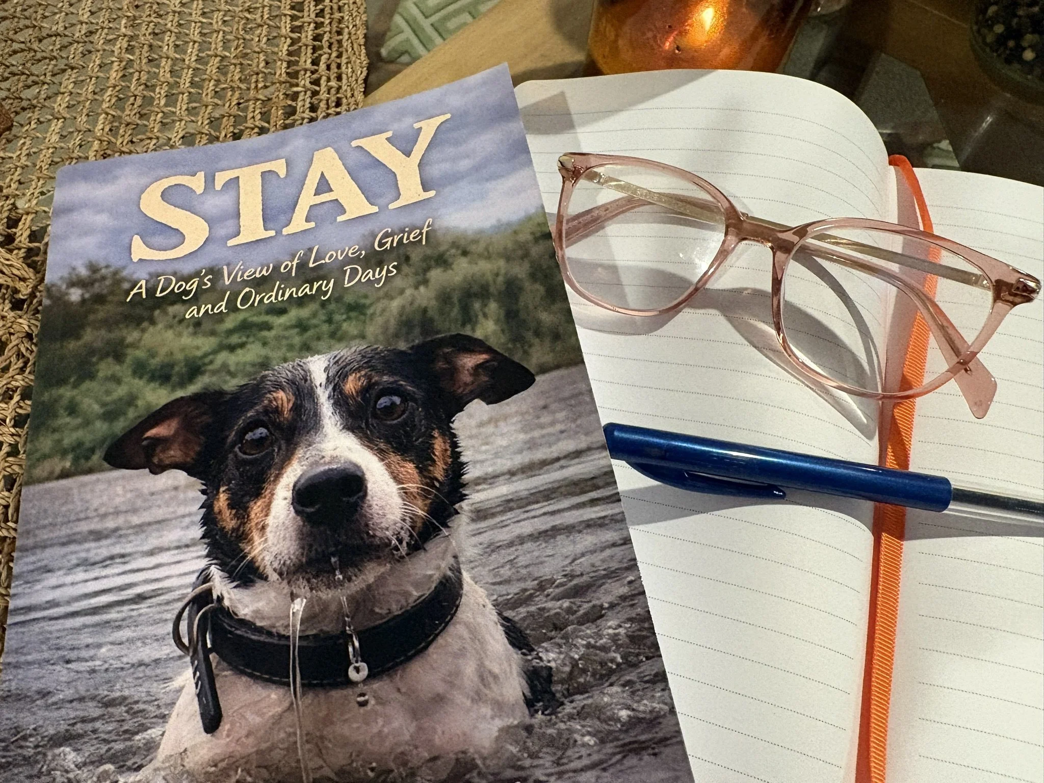 Stay: A Dog’s View of Love, Grief and Ordinary Days