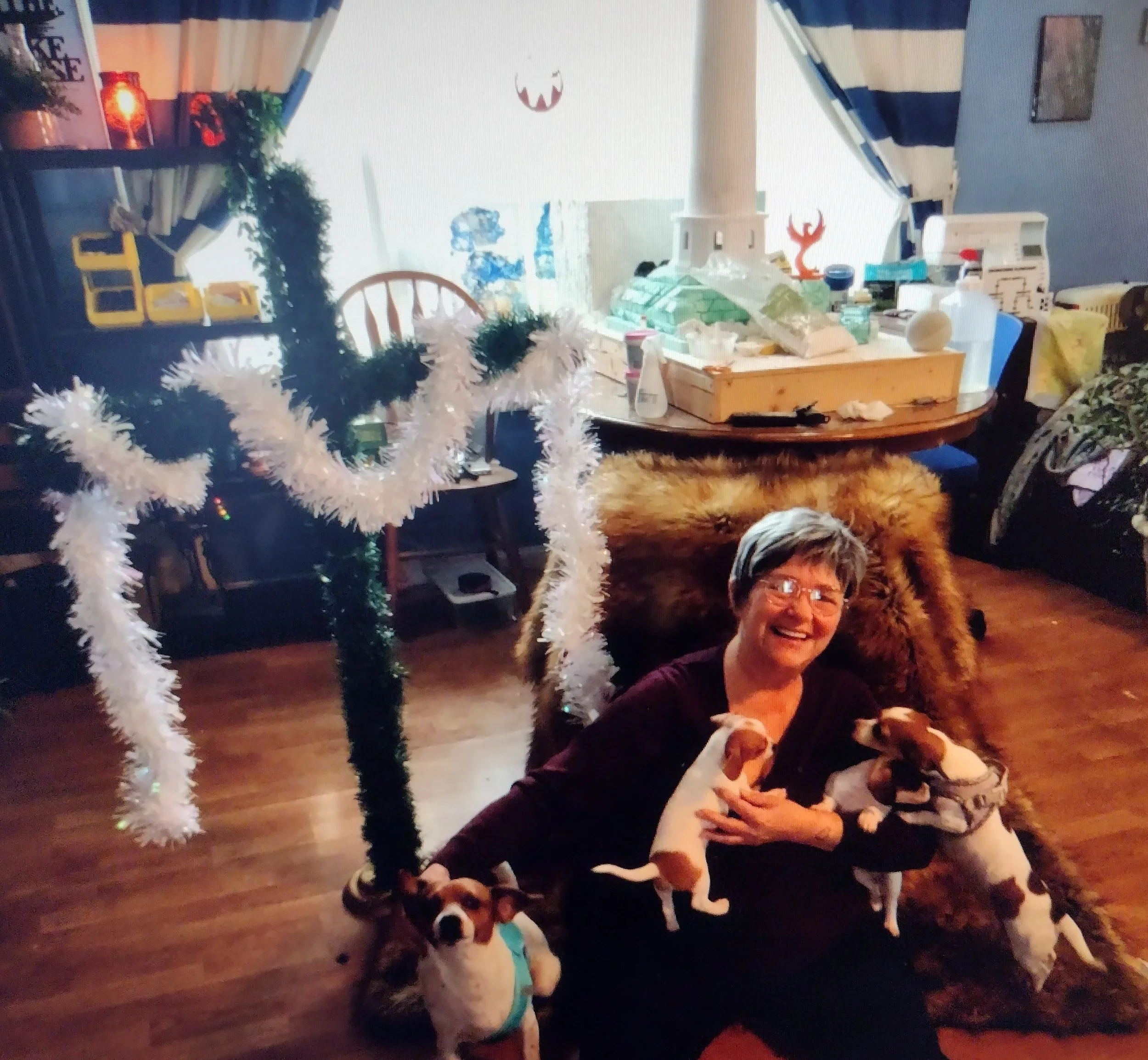 A woman sitting on the floor smiling and holding three small dogs, surrounded by Christmas decorations including a white fluffy Christmas tree with a black base and a wreath, in a festive room with a table filled with supplies and decorations in the background.