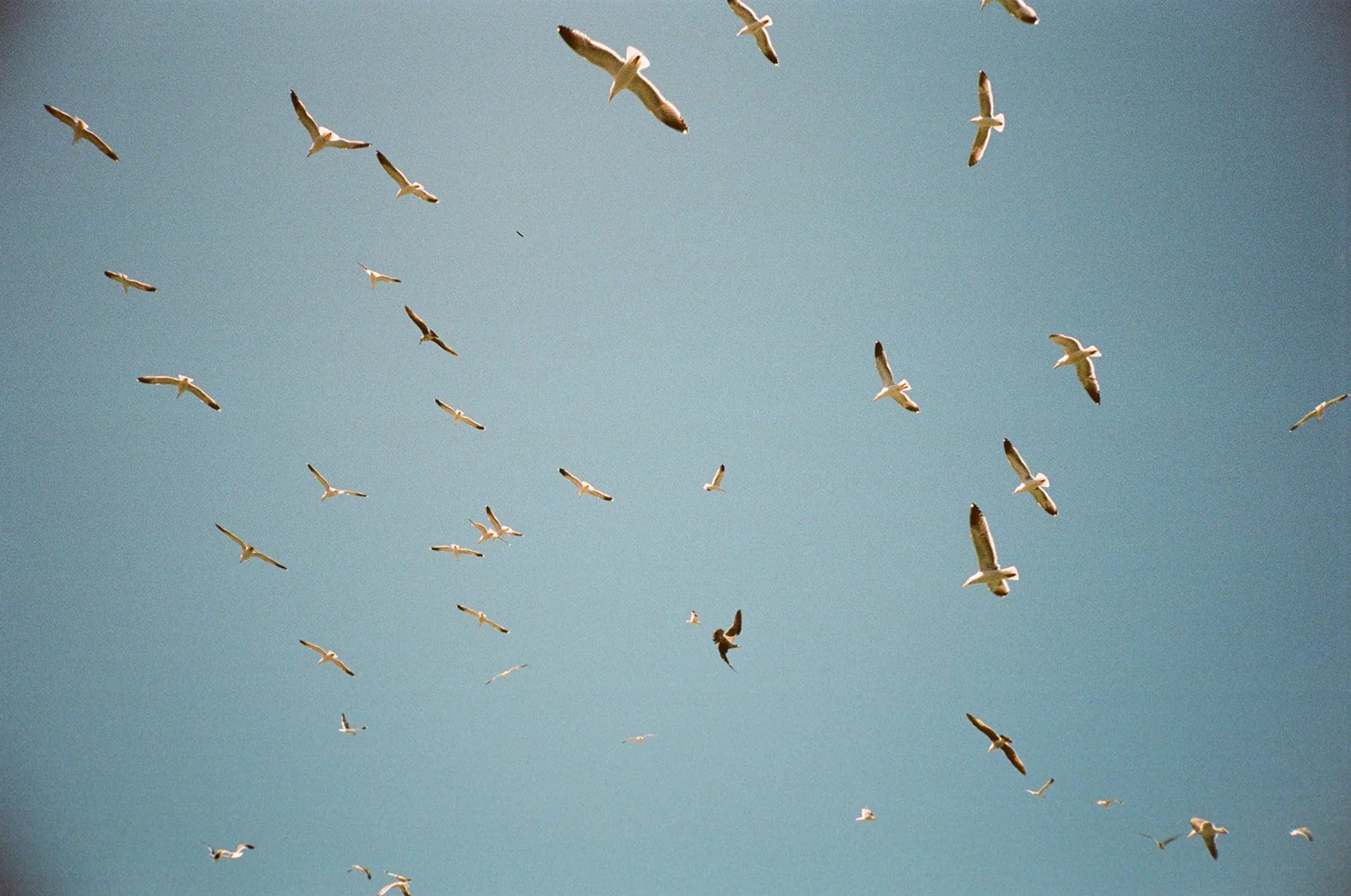 film portfolio-2-56_websize_websize.jpg