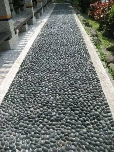 A stone pathway with a border on both sides, lined with plants and flowers on the right.
